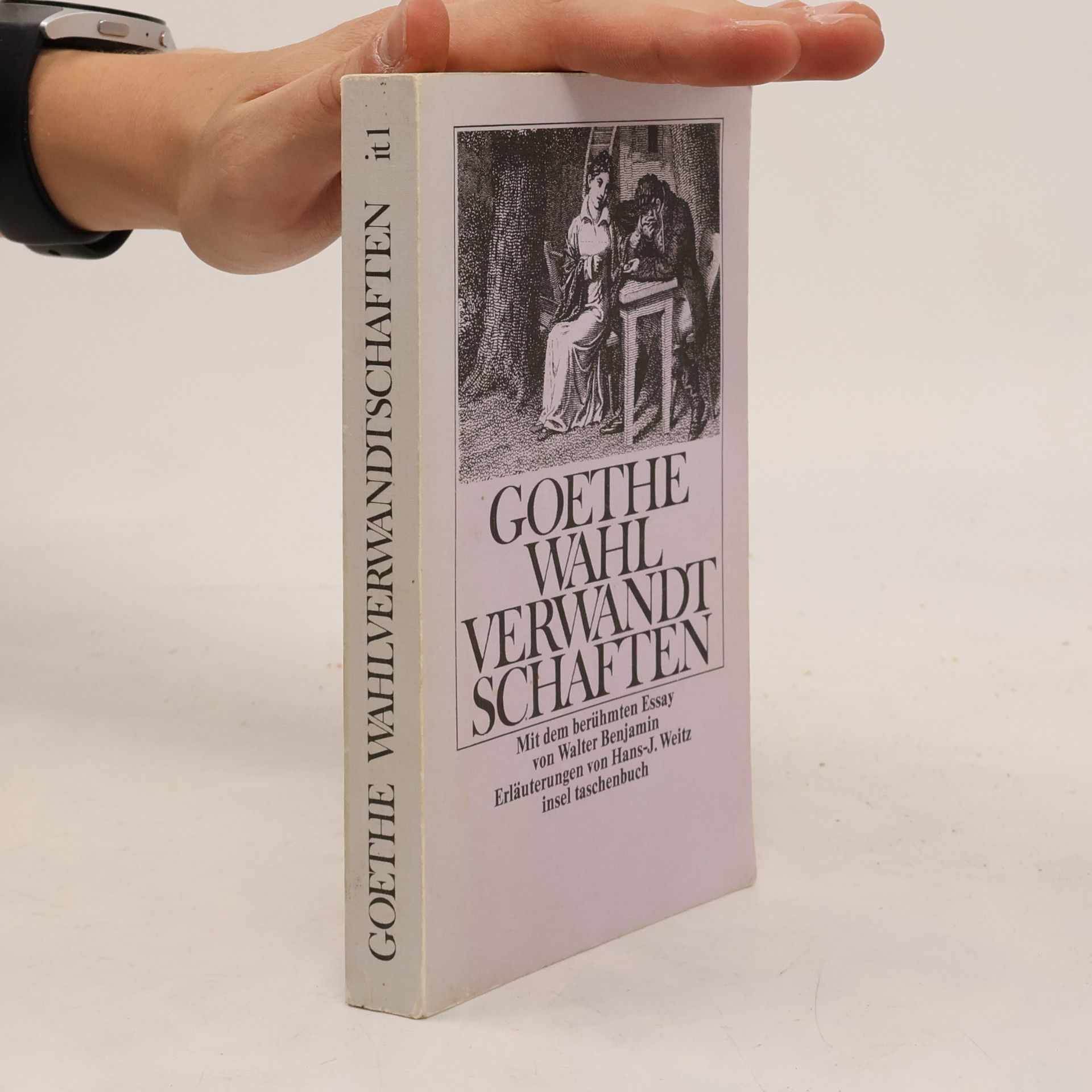Johann Wolfgang von Goethe Die Wahlverwandtschaften