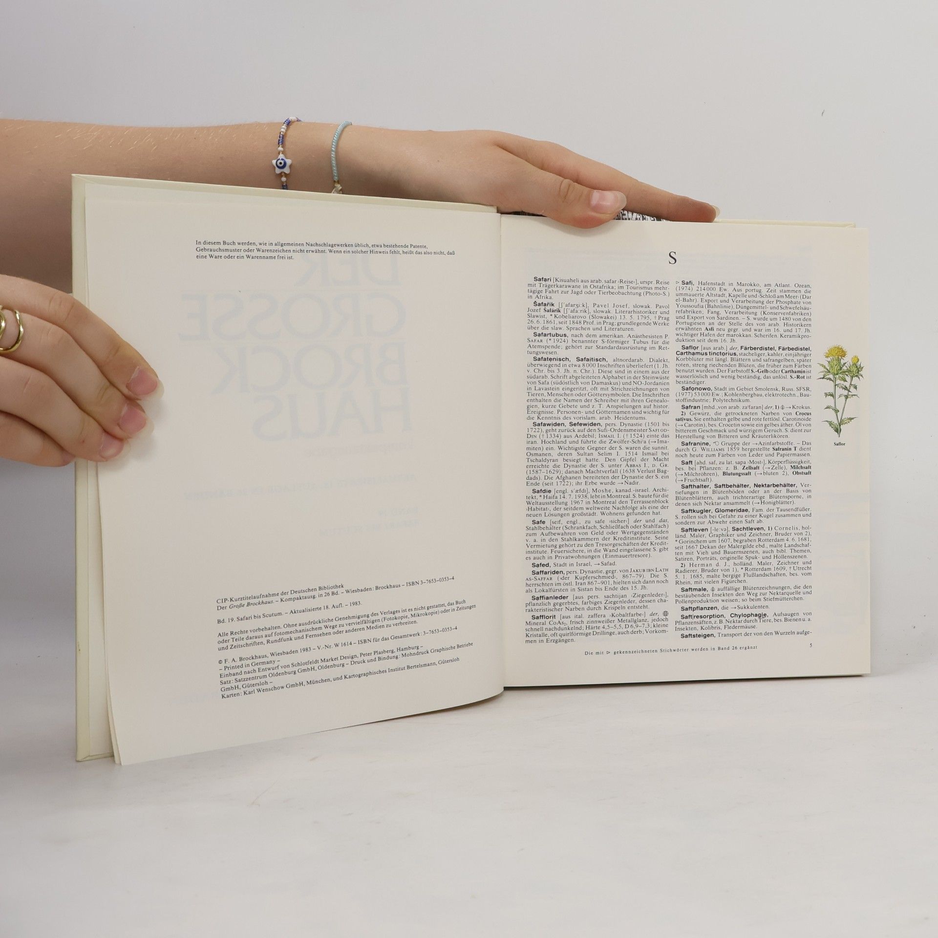 Autorenkollektiv Der grosse Brockhaus 19