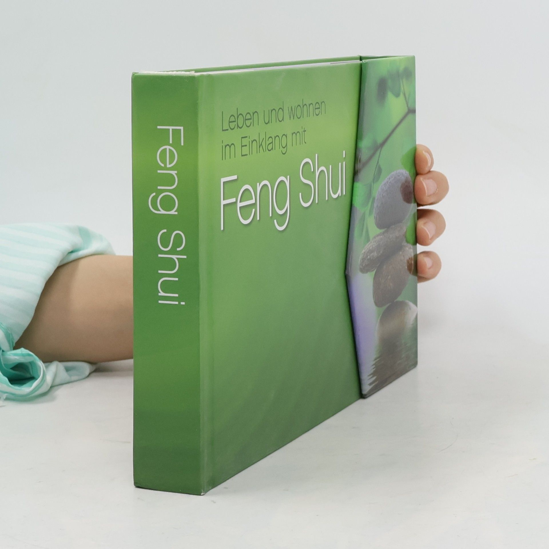 Collectif d'auteurs Feng Shui