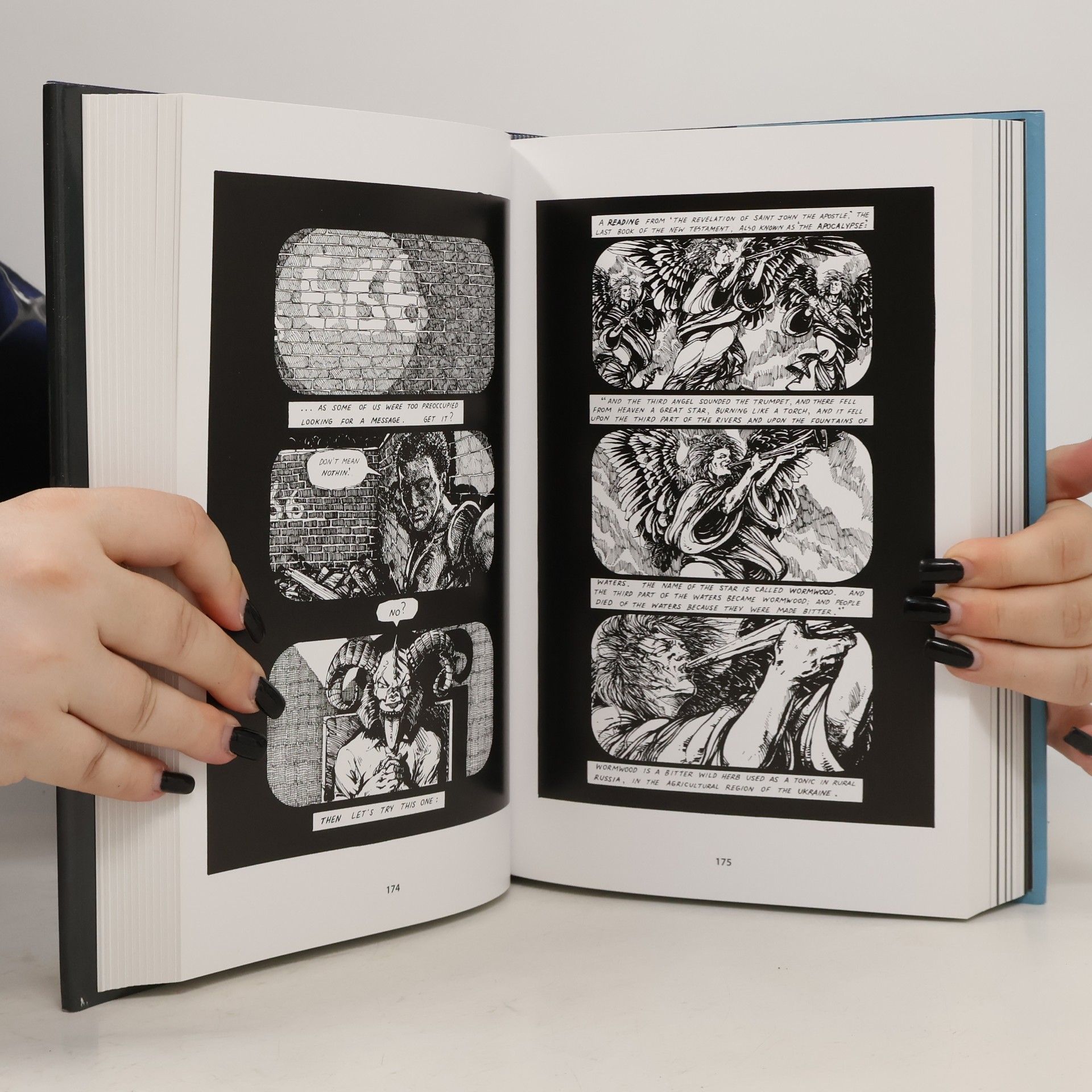 Stephen Murphy-Shigematsu The Puma Blues: The Complete Saga in One Volume
