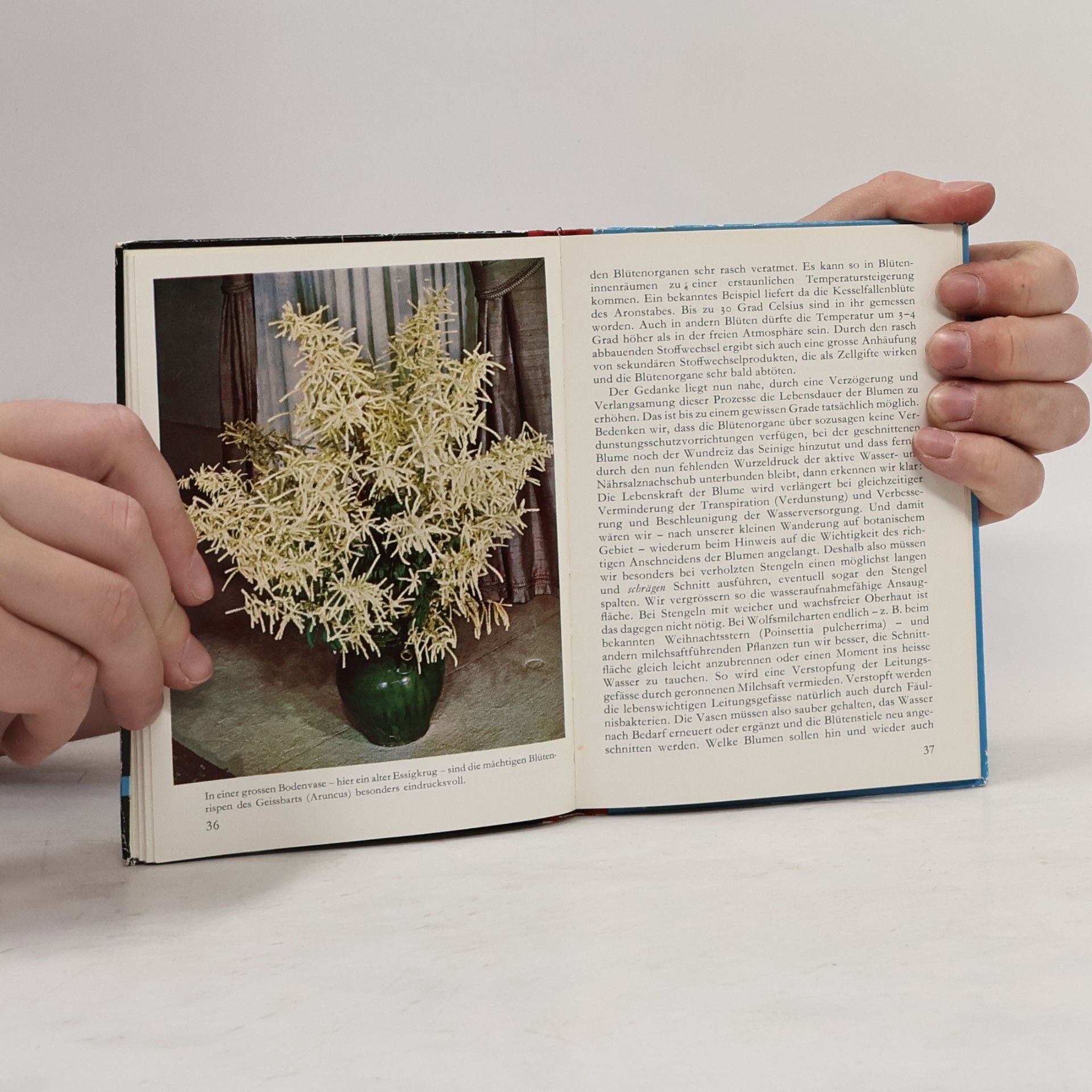 Heini Mathys Schnittblumen. Schnittblumen und ihre Pflege