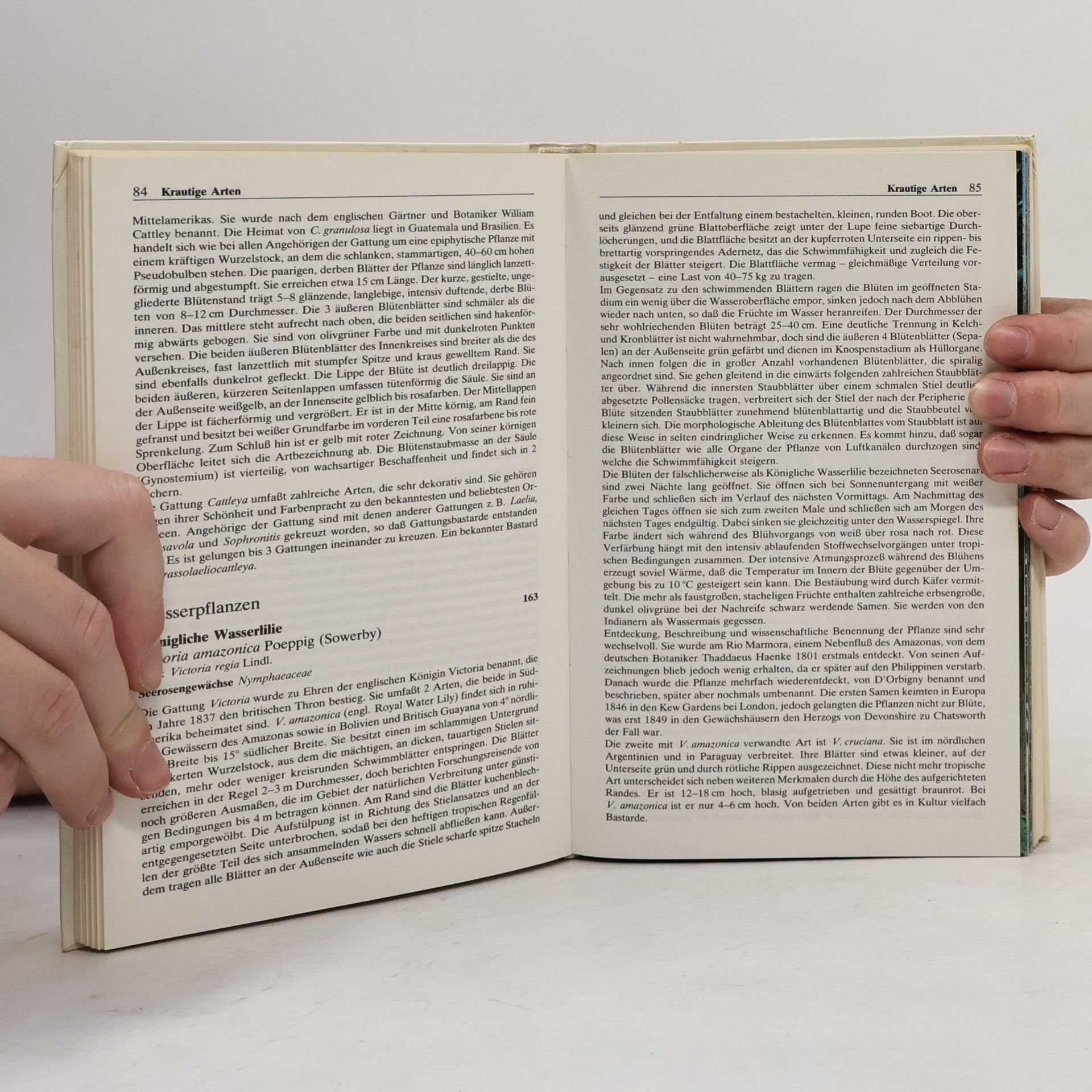 Wilhelm Lötschert BLV Bestimmungsbuch: Pflanzen der Tropen