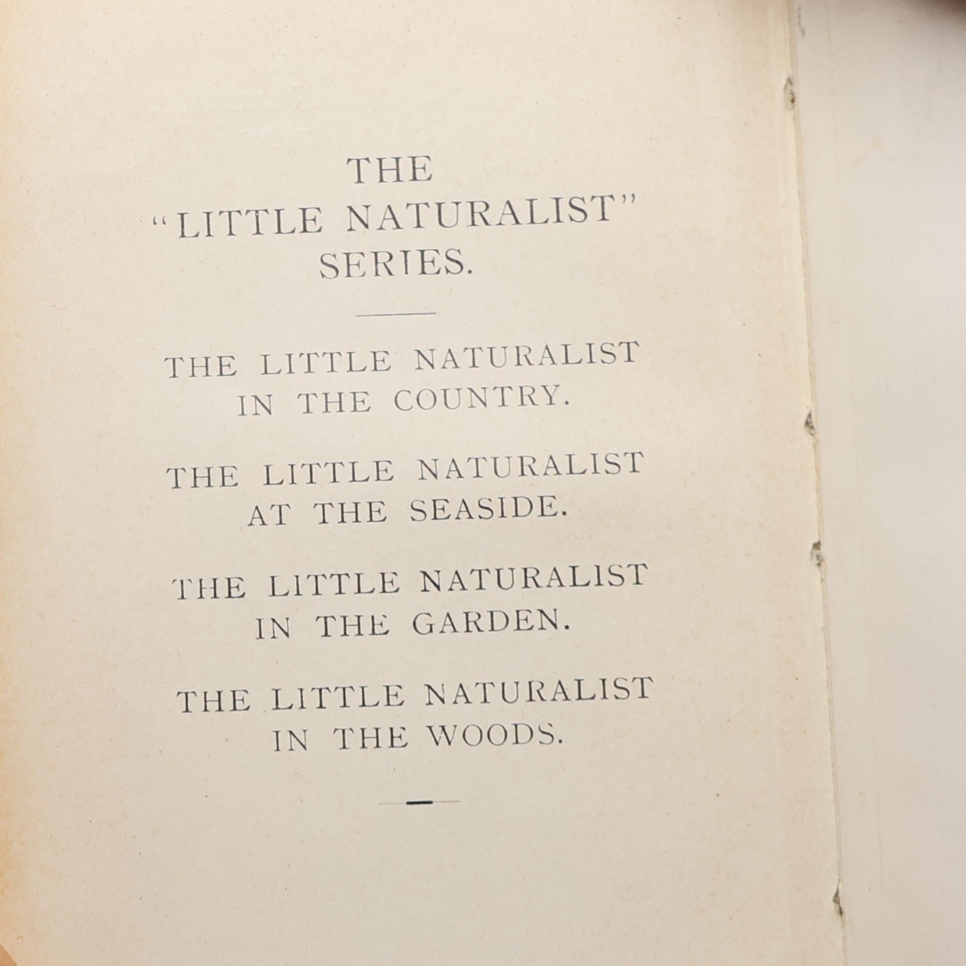 Reverend Theodore Wood The Little Naturalist in the Woods