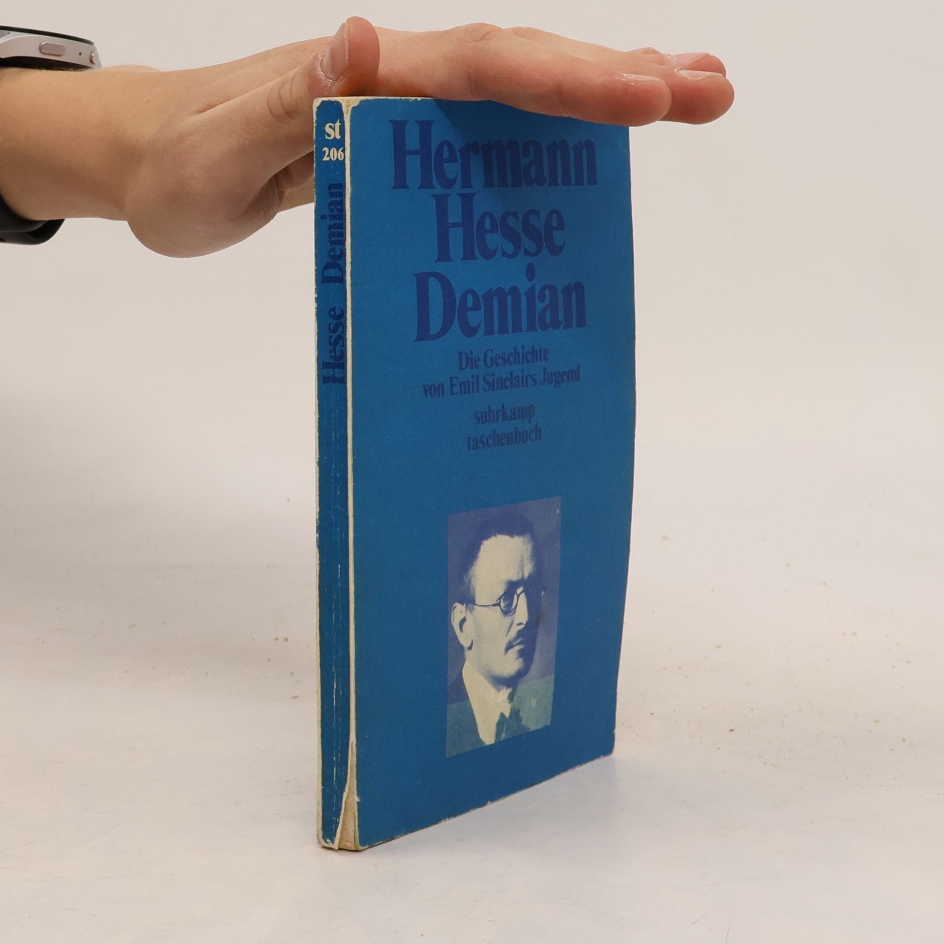Hermann Hesse Demian : die Geschichte von Emil Sinclairs Jugend