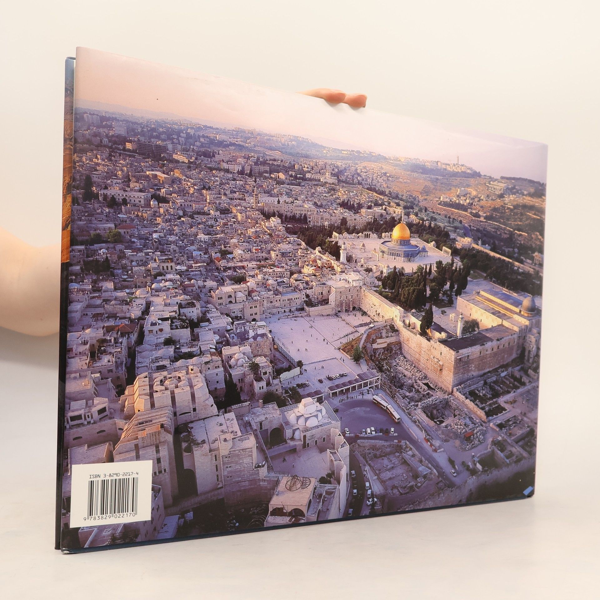 Shai Ginnot Israel