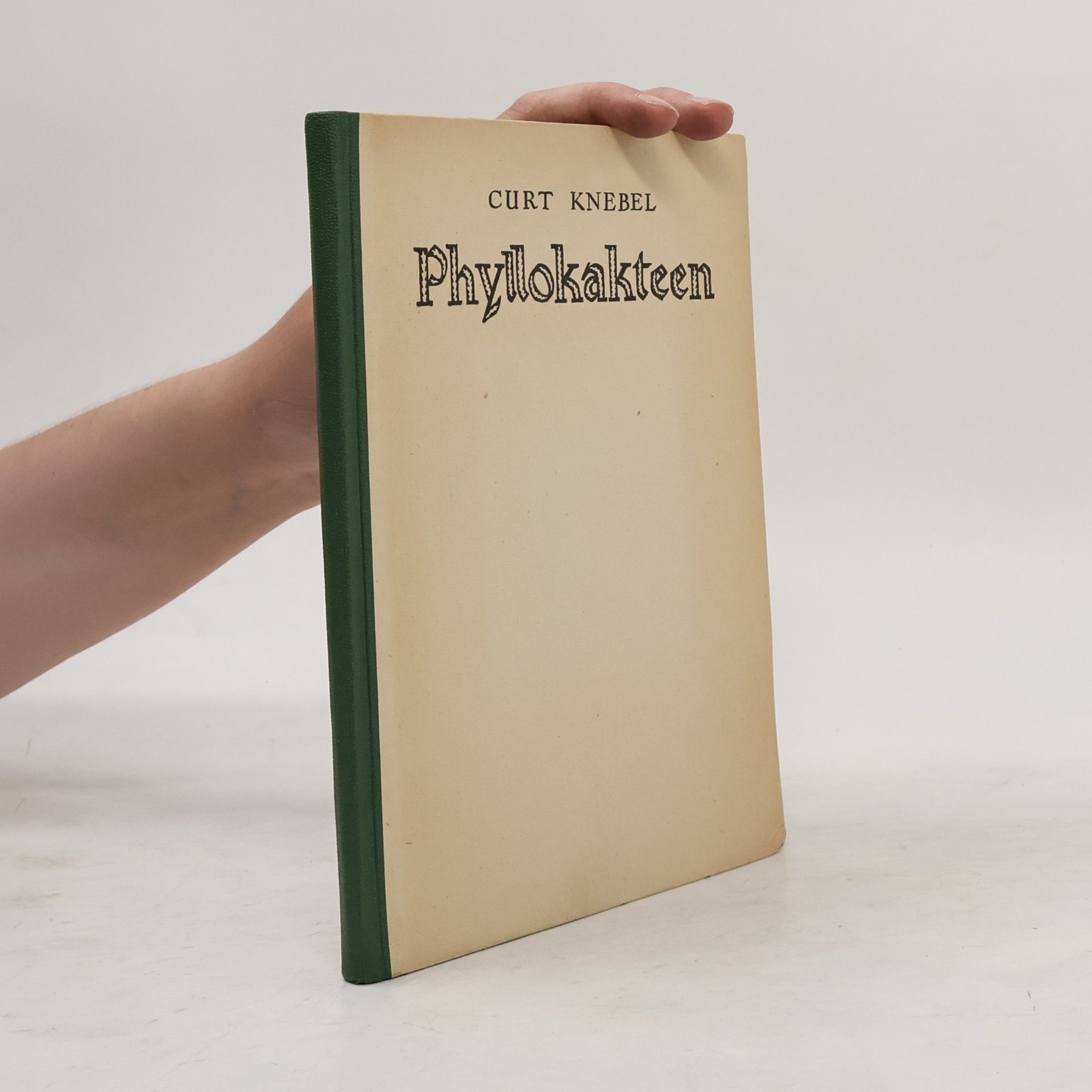 Knebel Curt Phyllokakteen