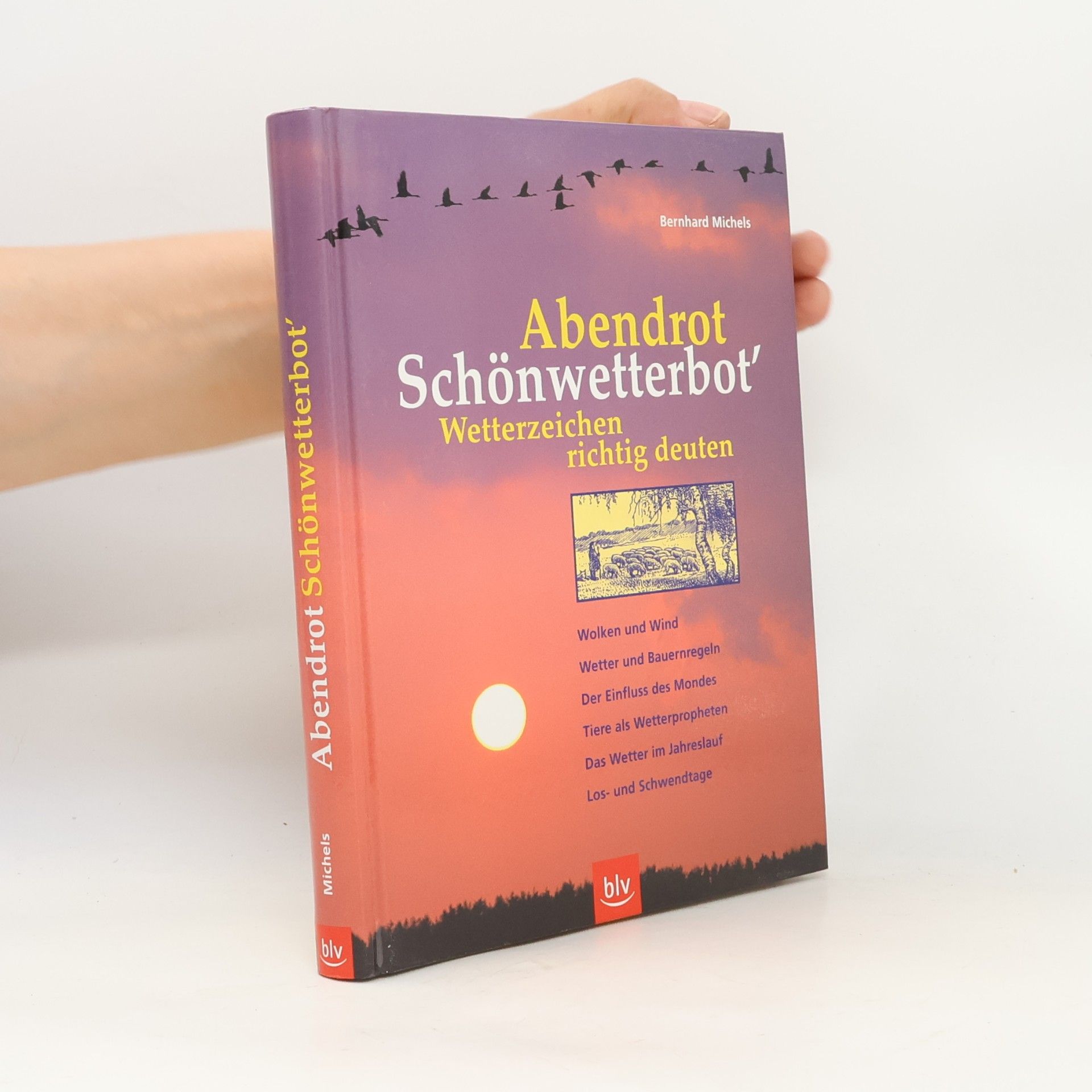 Bernhard Michels Abendrot Schönwetterbot'