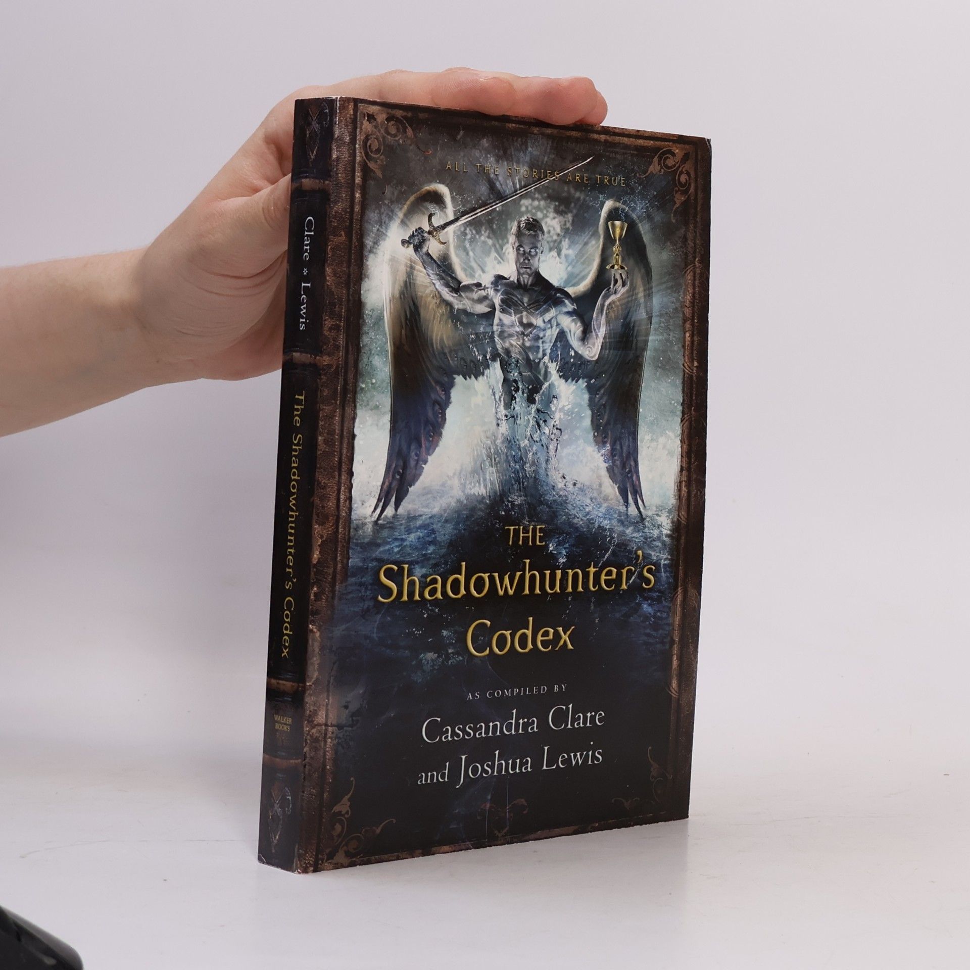 Cassandra Clare The Shadowhunter’s Codex