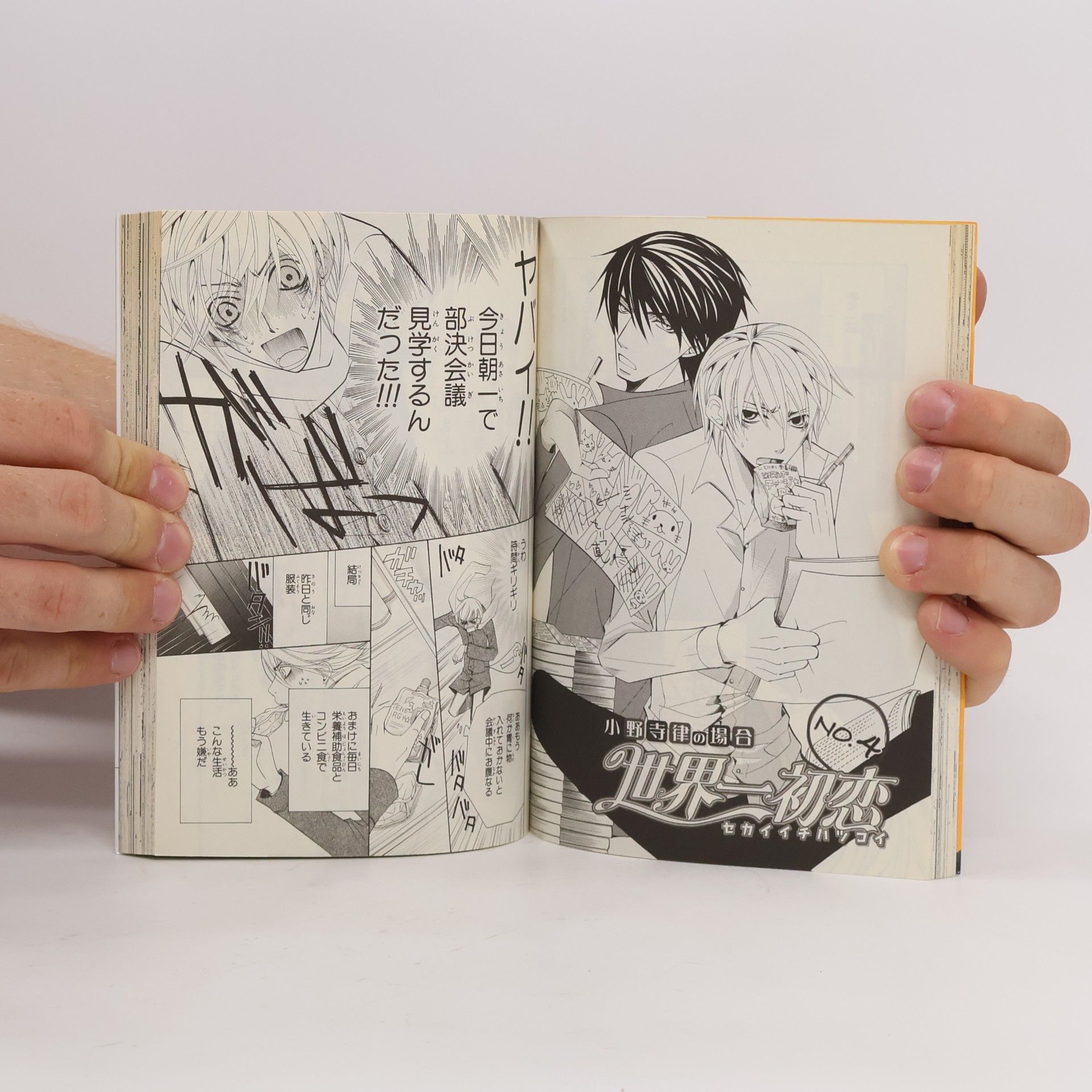 Shungiku Nakamura 世界一初恋