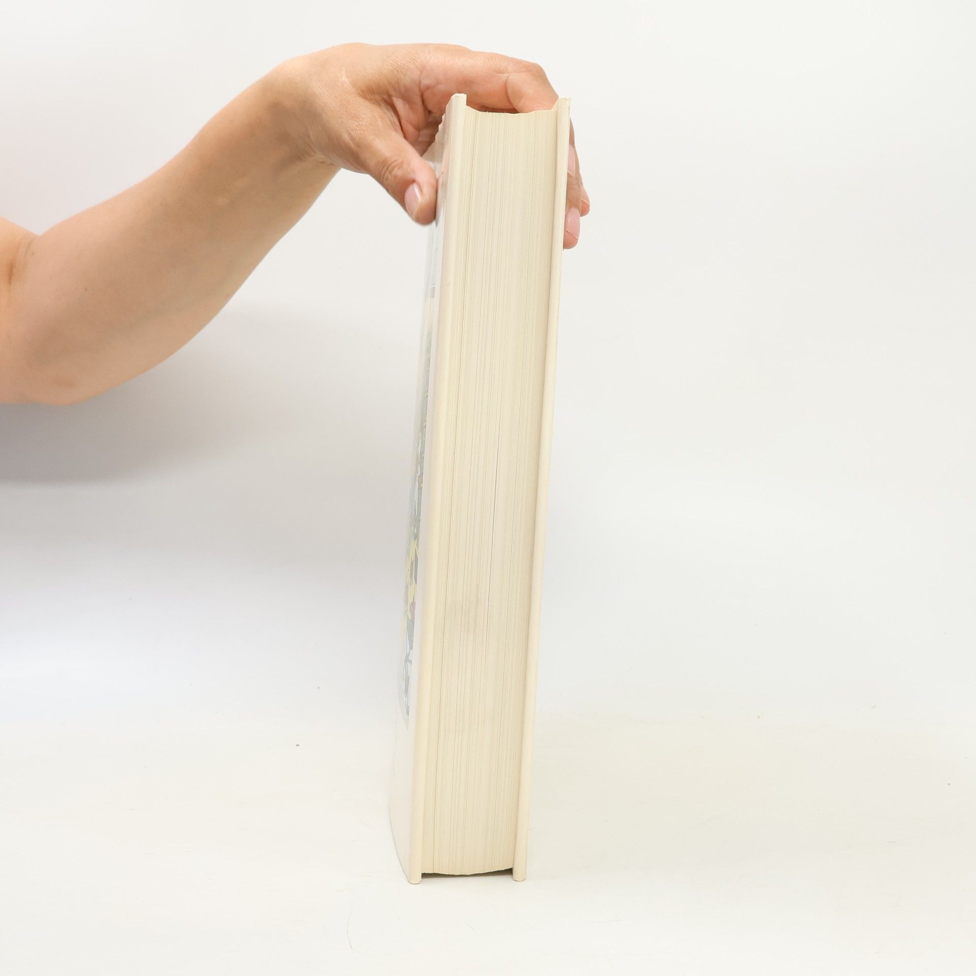 Heinrich Zille Das dicke Zille-Buch