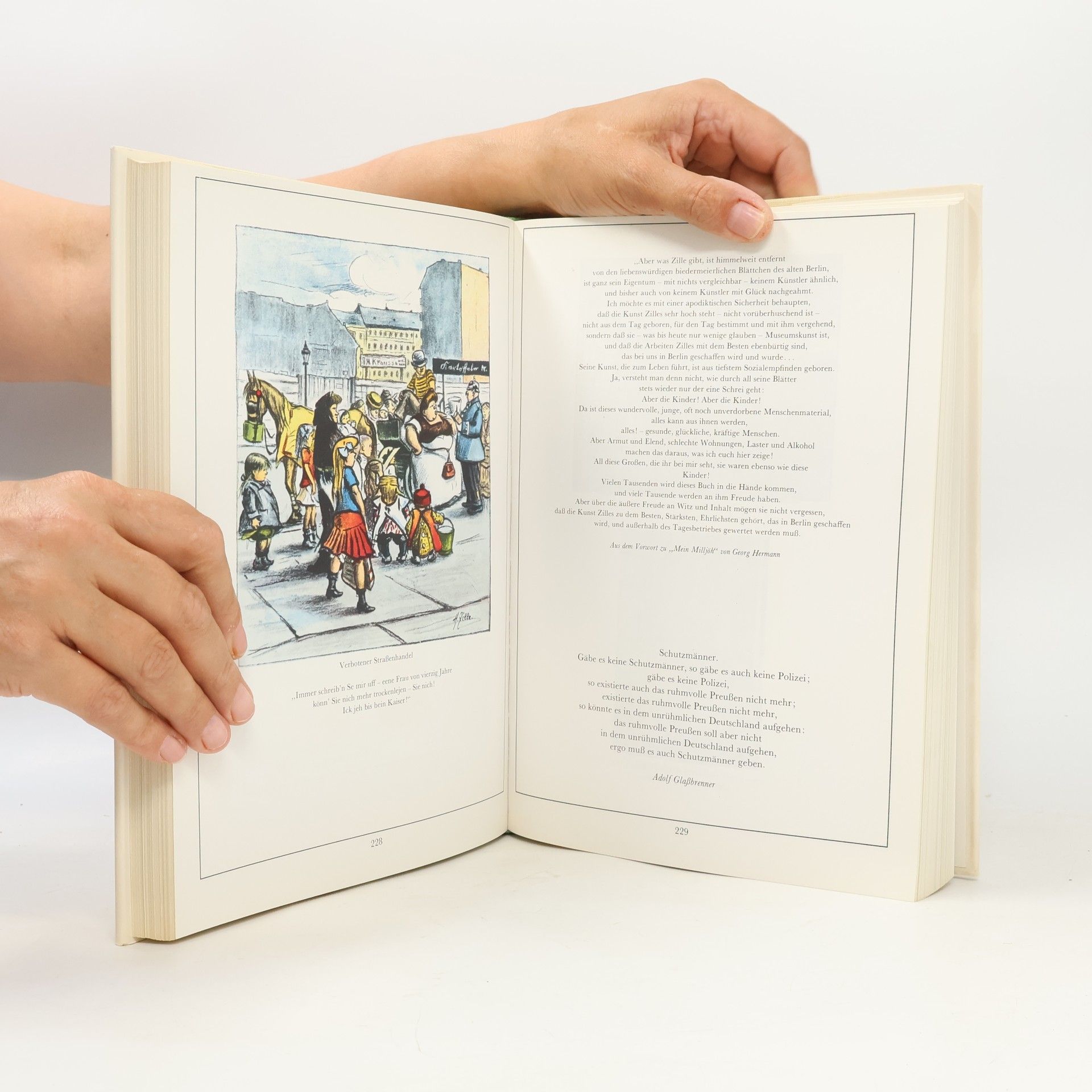 Heinrich Zille Das dicke Zille-Buch