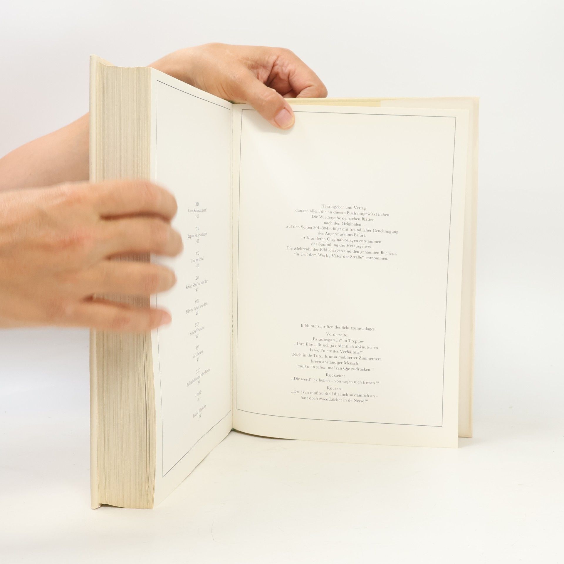 Heinrich Zille Das dicke Zille-Buch