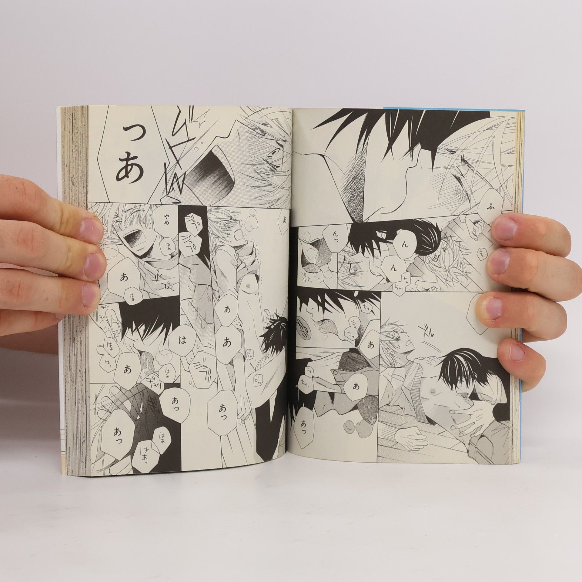 Shungiku Nakamura 世界一初恋