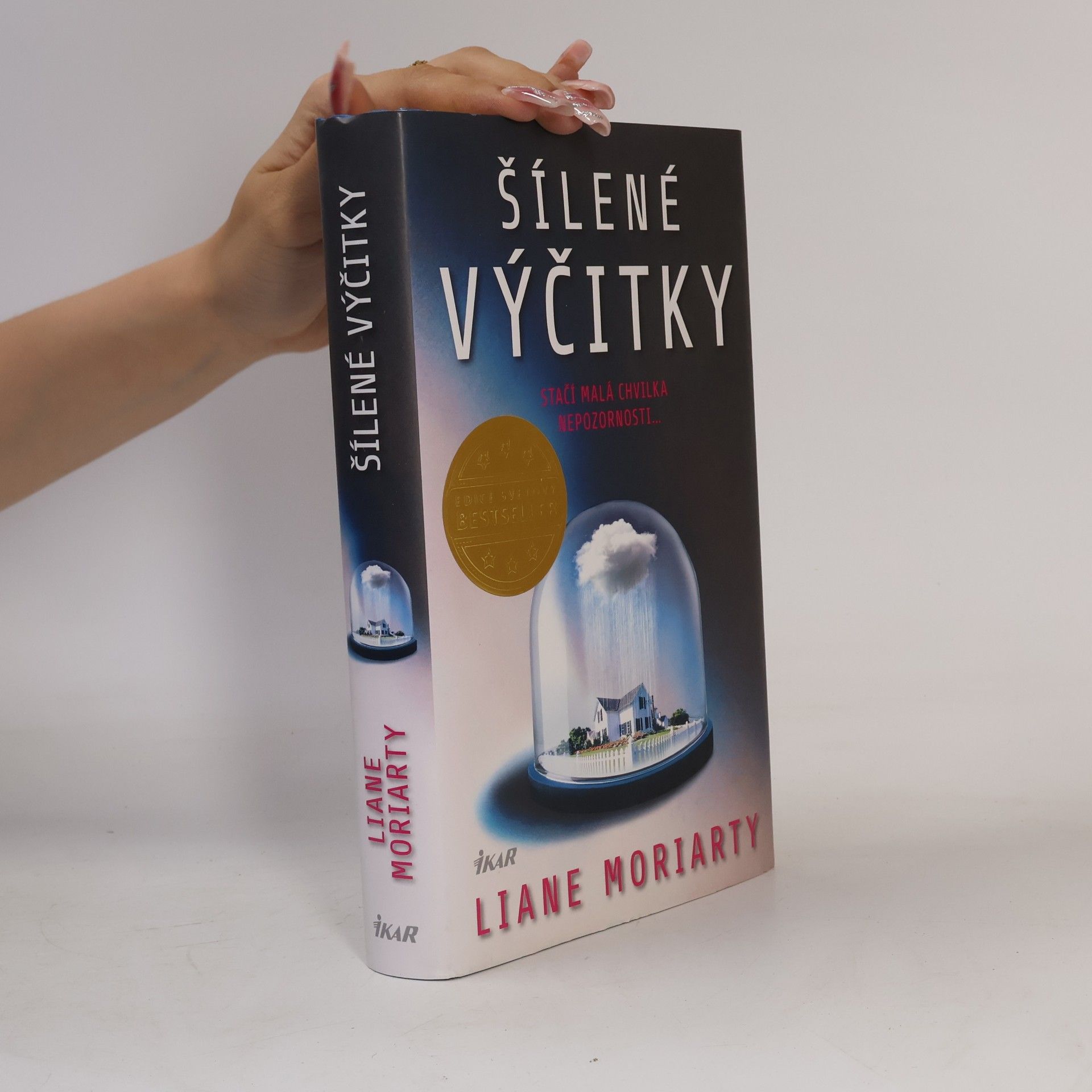 Liane Moriarty Šílené výčitky
