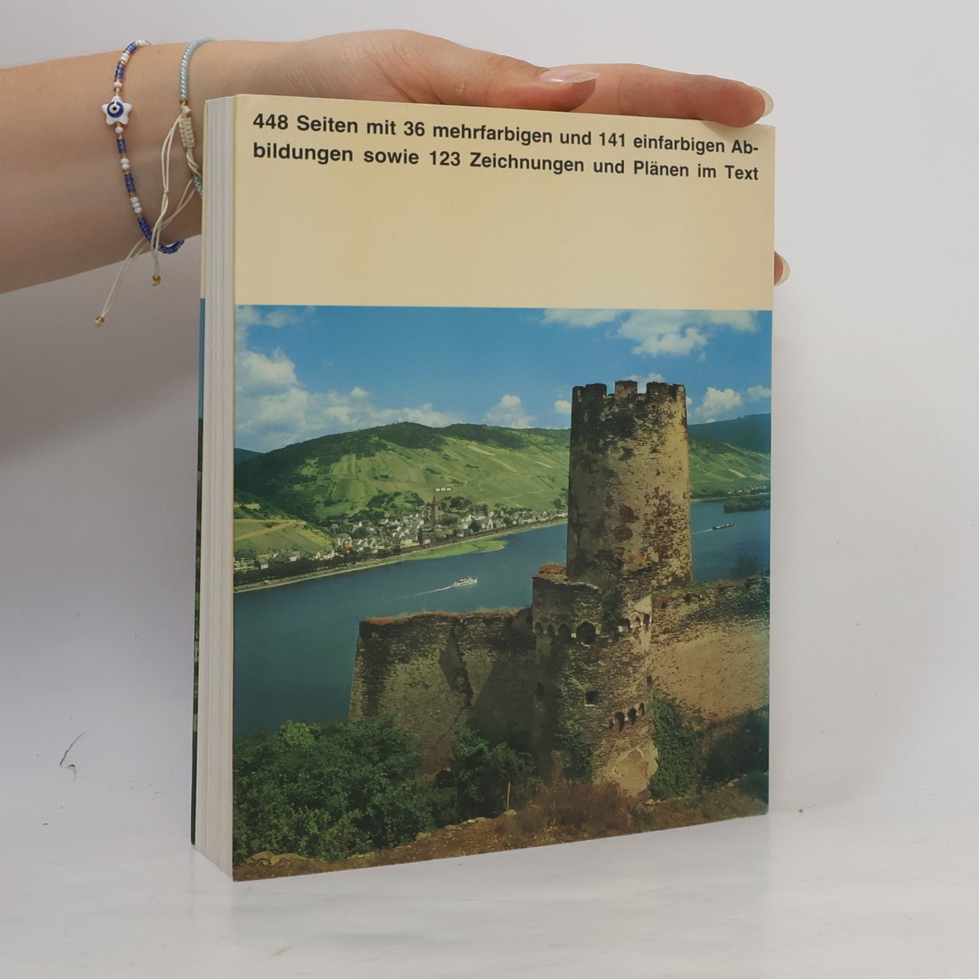 Werner Schäfke Der Rhein von Mainz bis Köln