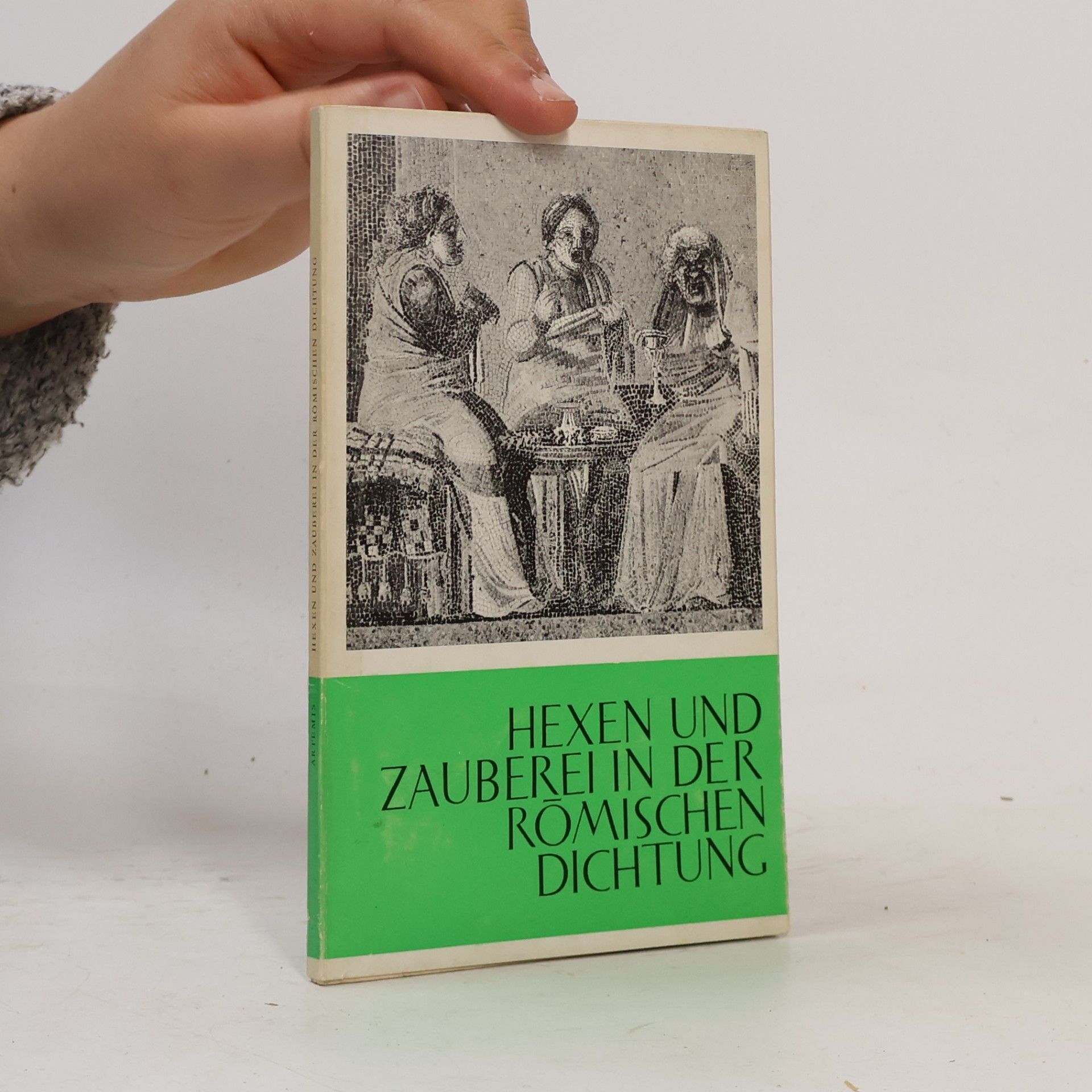 Georg Luck Hexen und Zauberei in der römischen Dichtung