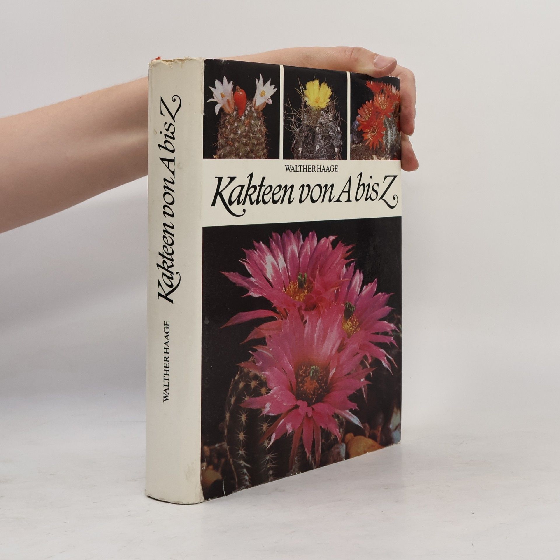 Walther Haage Kakteen von A bis Z