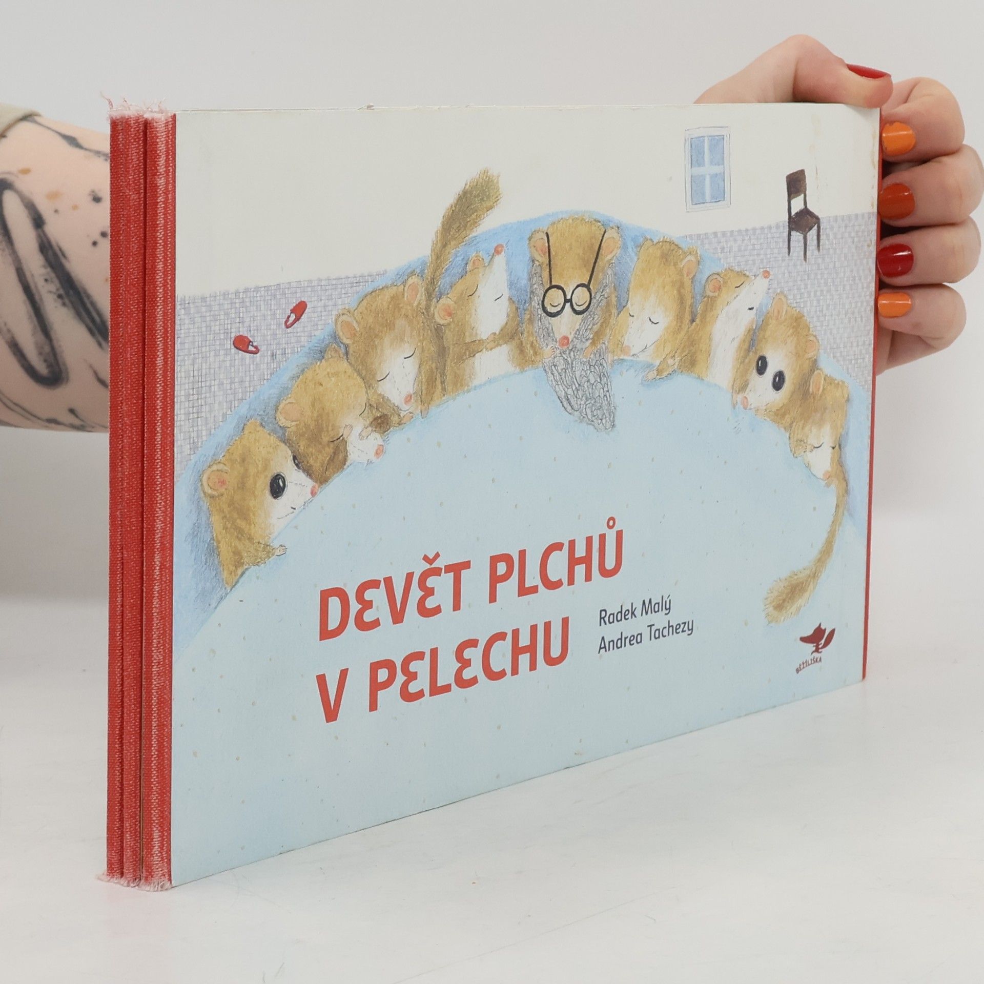 Radek Malý Devět plchů v pelechu