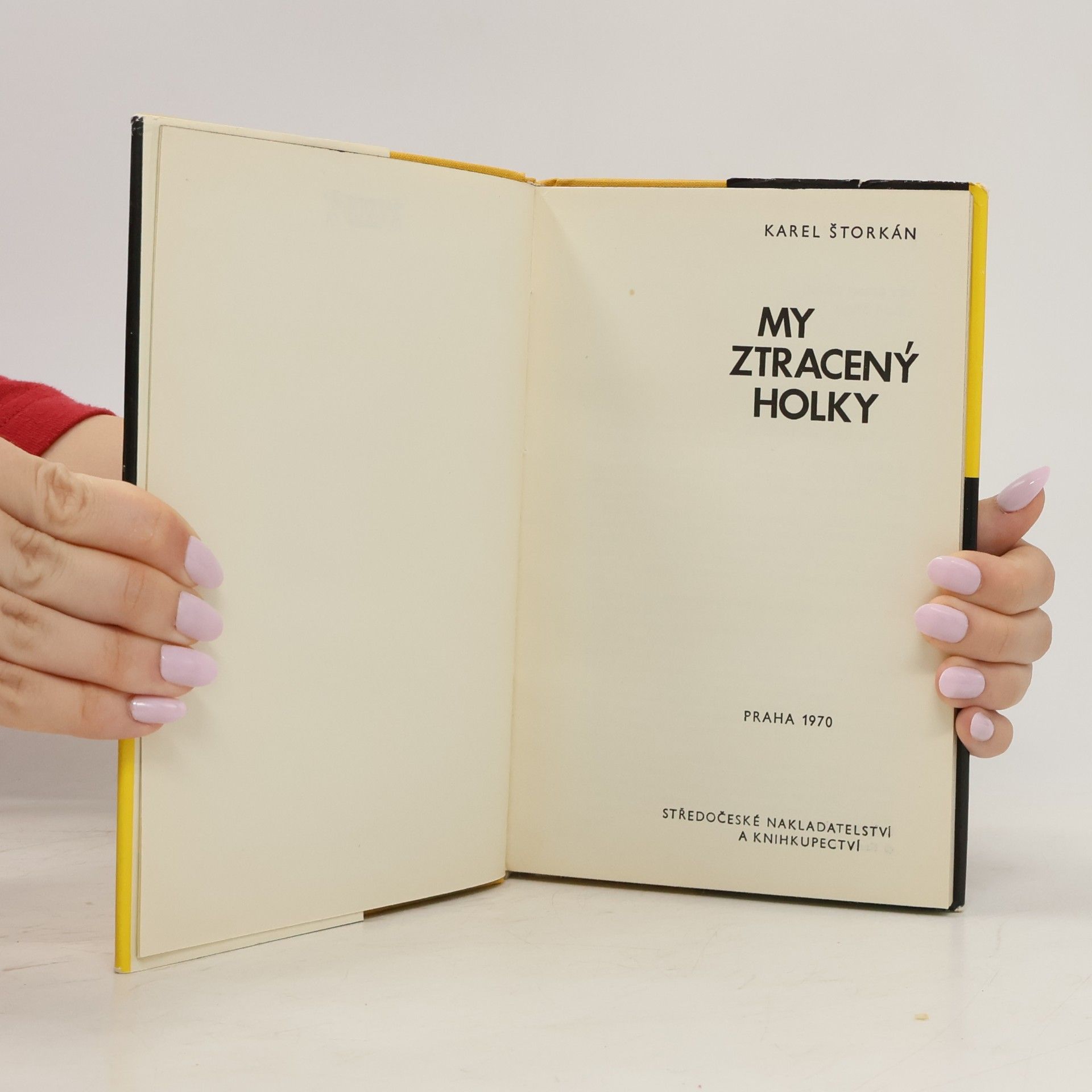 Karel Štorkán My ztracený holky