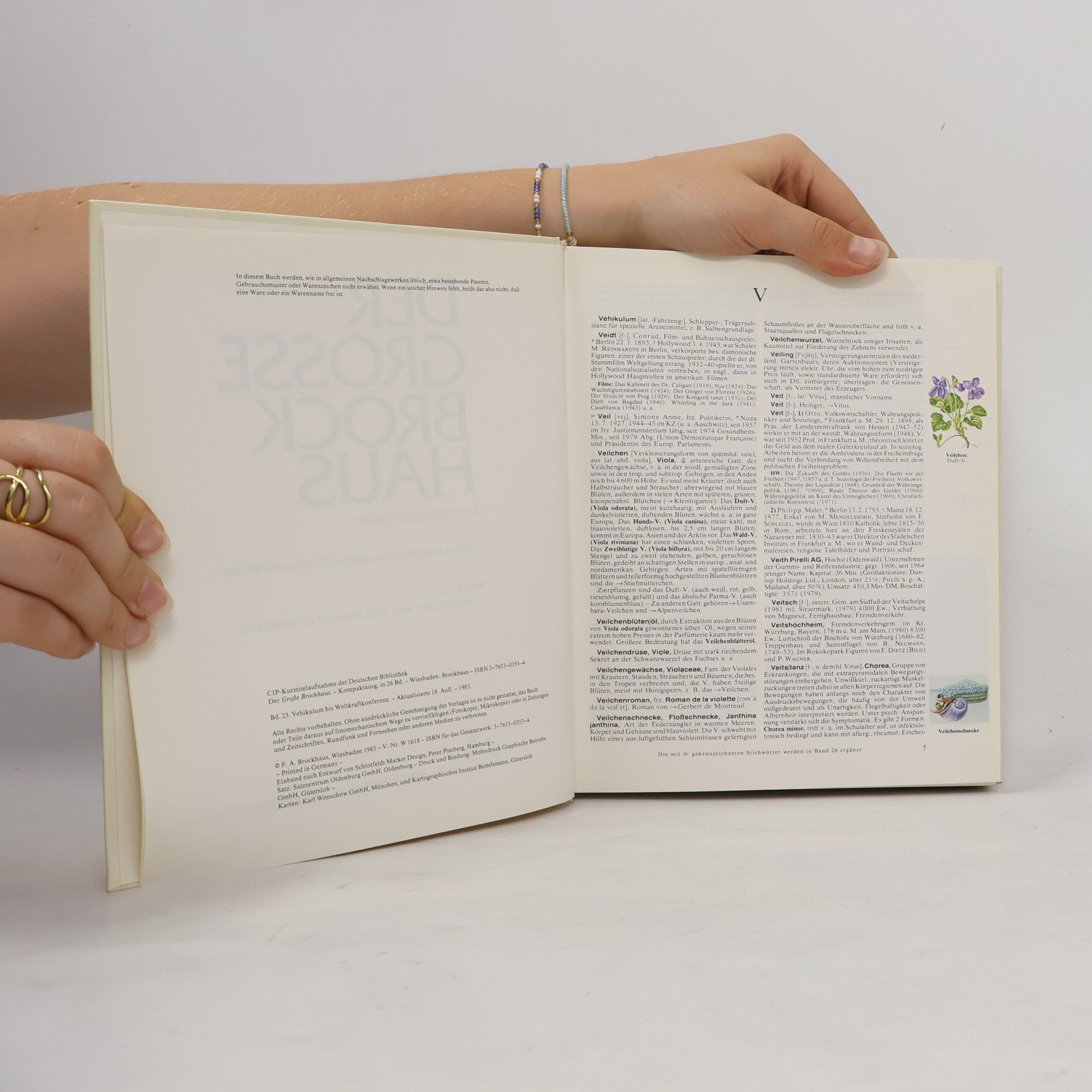 Autorenkollektiv Der Grosse Brockhaus 23