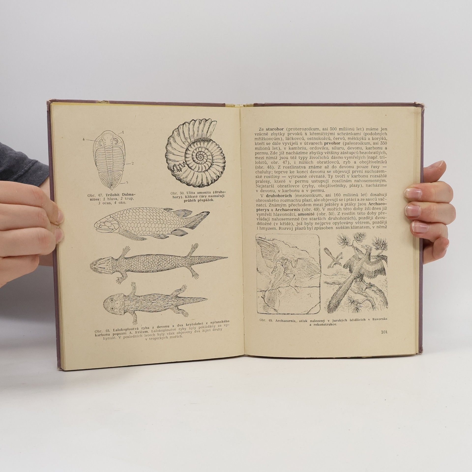 Collectif d'auteurs Obecná biologie pro jedenáctý ročník jedenáctiletých středních škol