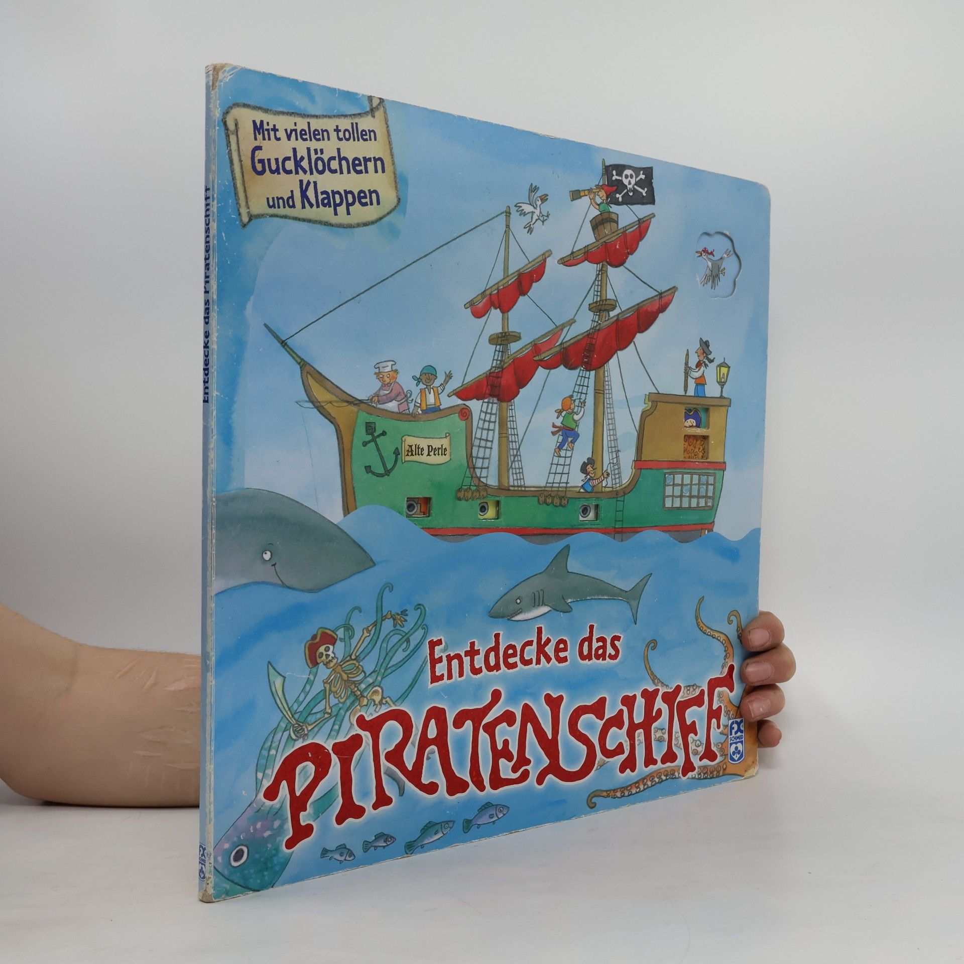Autorenkollektiv Entdecke das Piratenschiff