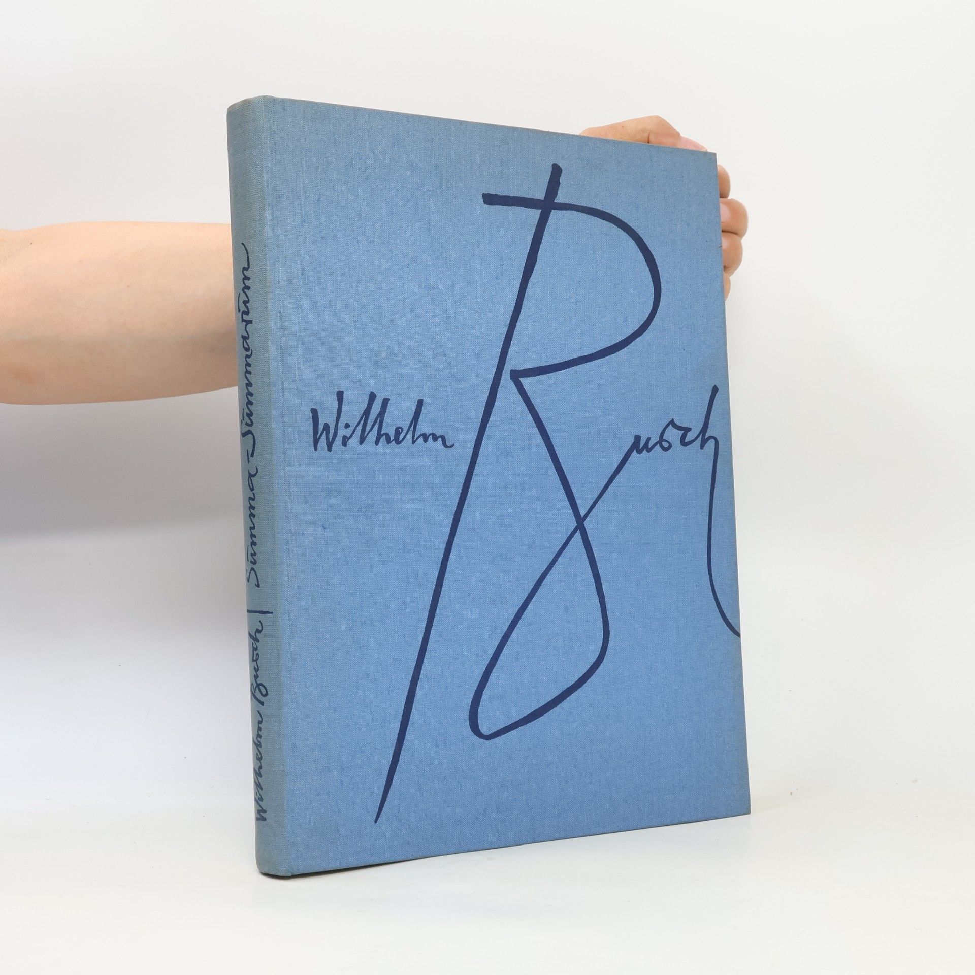 Wilhelm Busch Summa Summarum