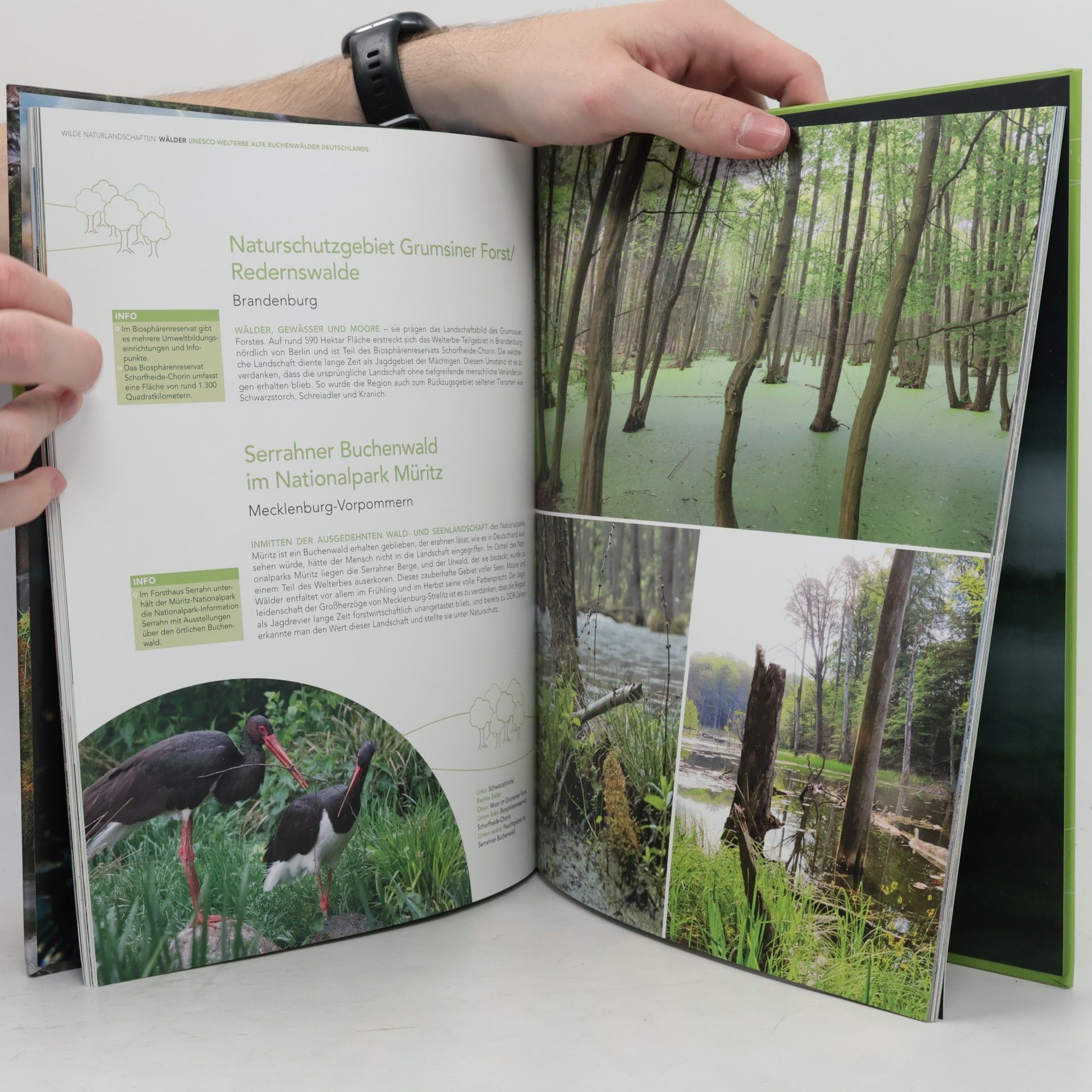 Viola van Eimeren Wilde Naturlandschaften in Deutschland