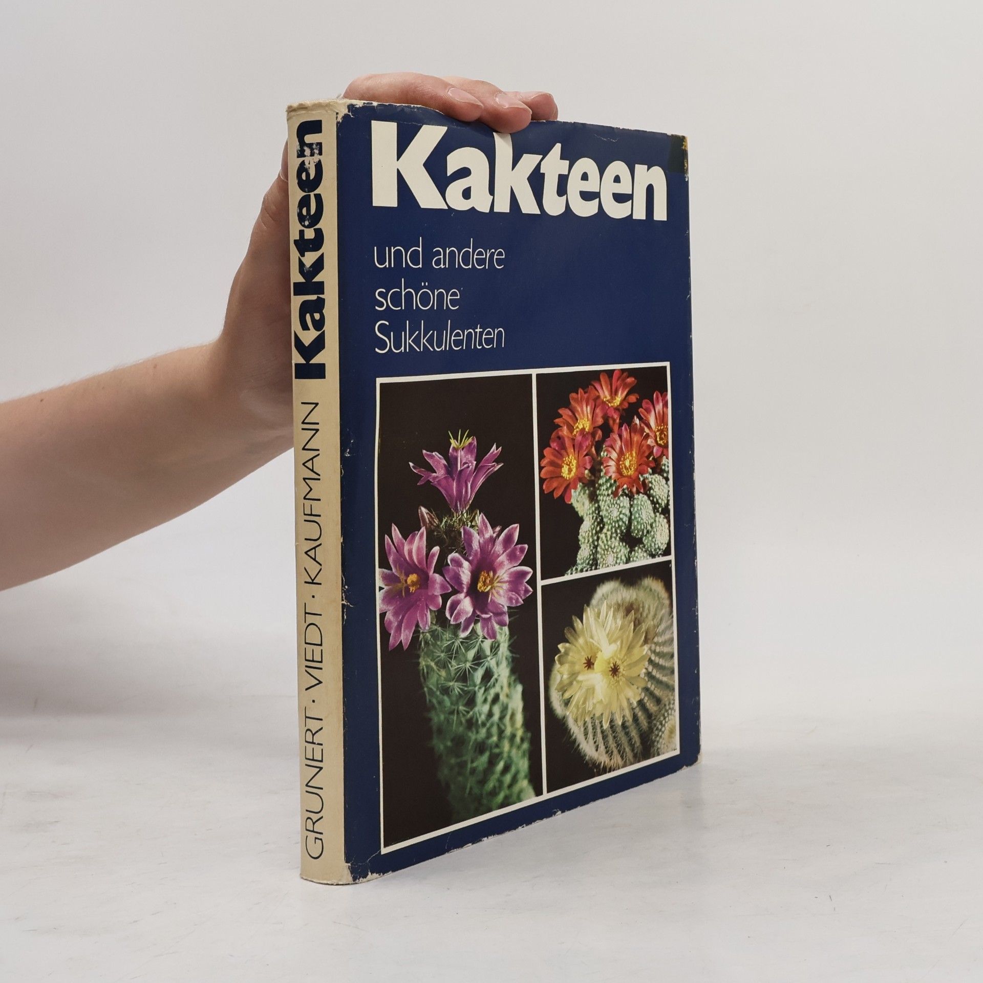 Autorenkollektiv Kakteen und andere schöne Sukkulenten