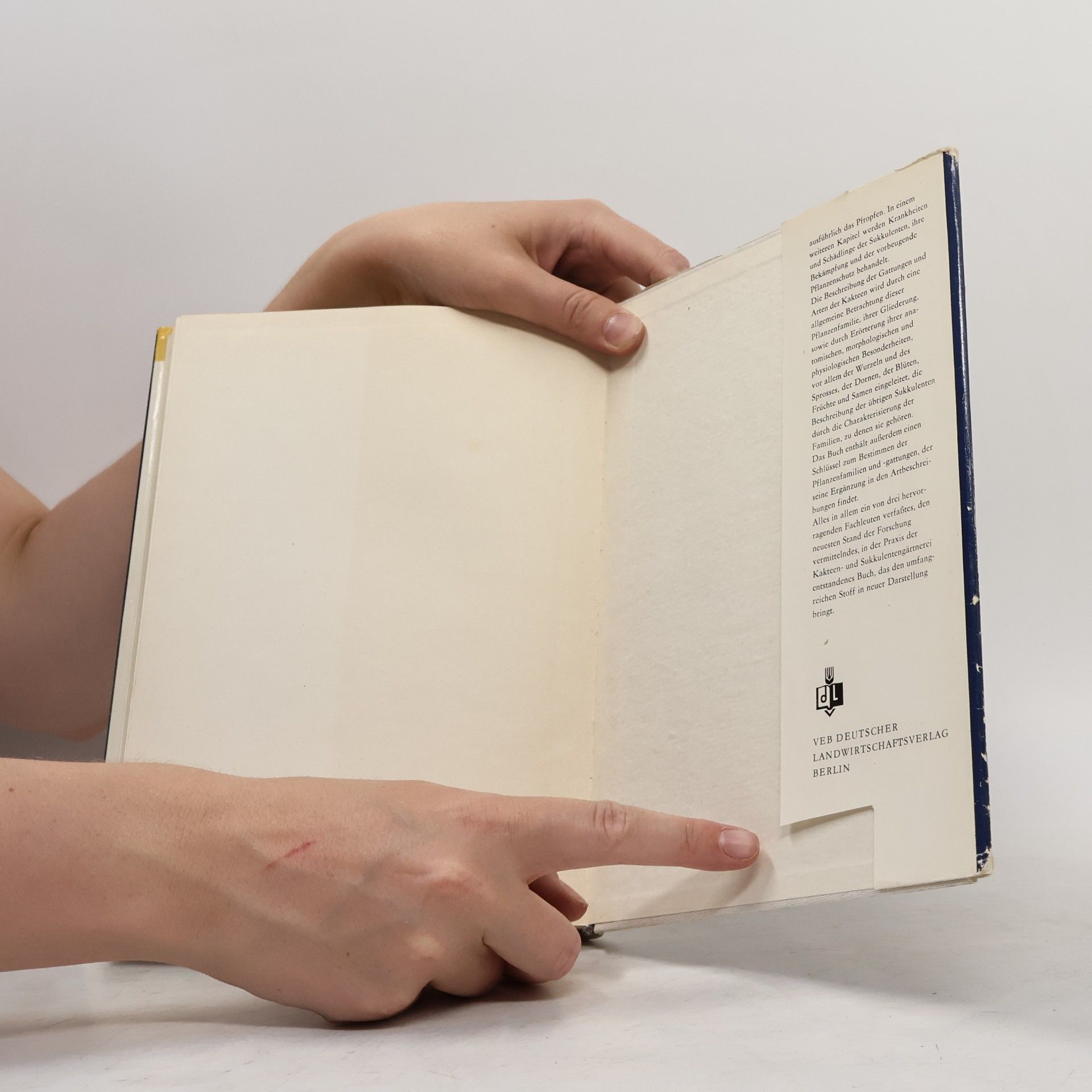 Autorenkollektiv Kakteen und andere schöne Sukkulenten