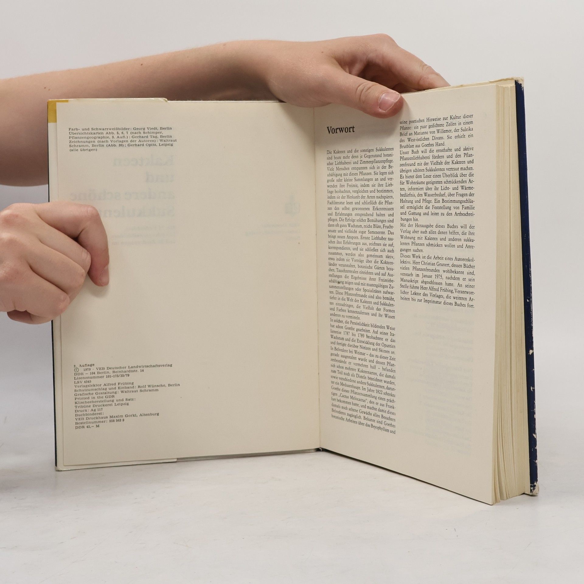 Autorenkollektiv Kakteen und andere schöne Sukkulenten
