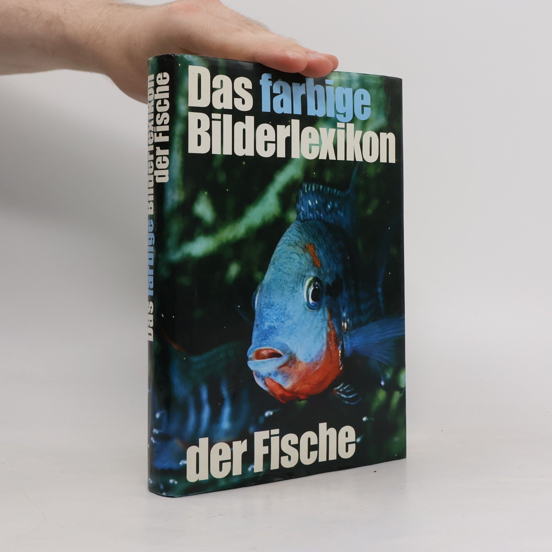 Autorenkollektiv Das farbige Bilderlexikon der Fische