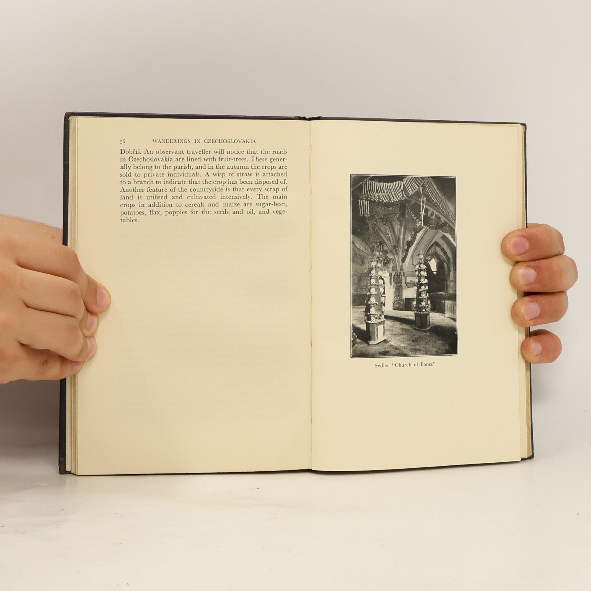 Gerald Druce Wanderings in Czechoslovakia
