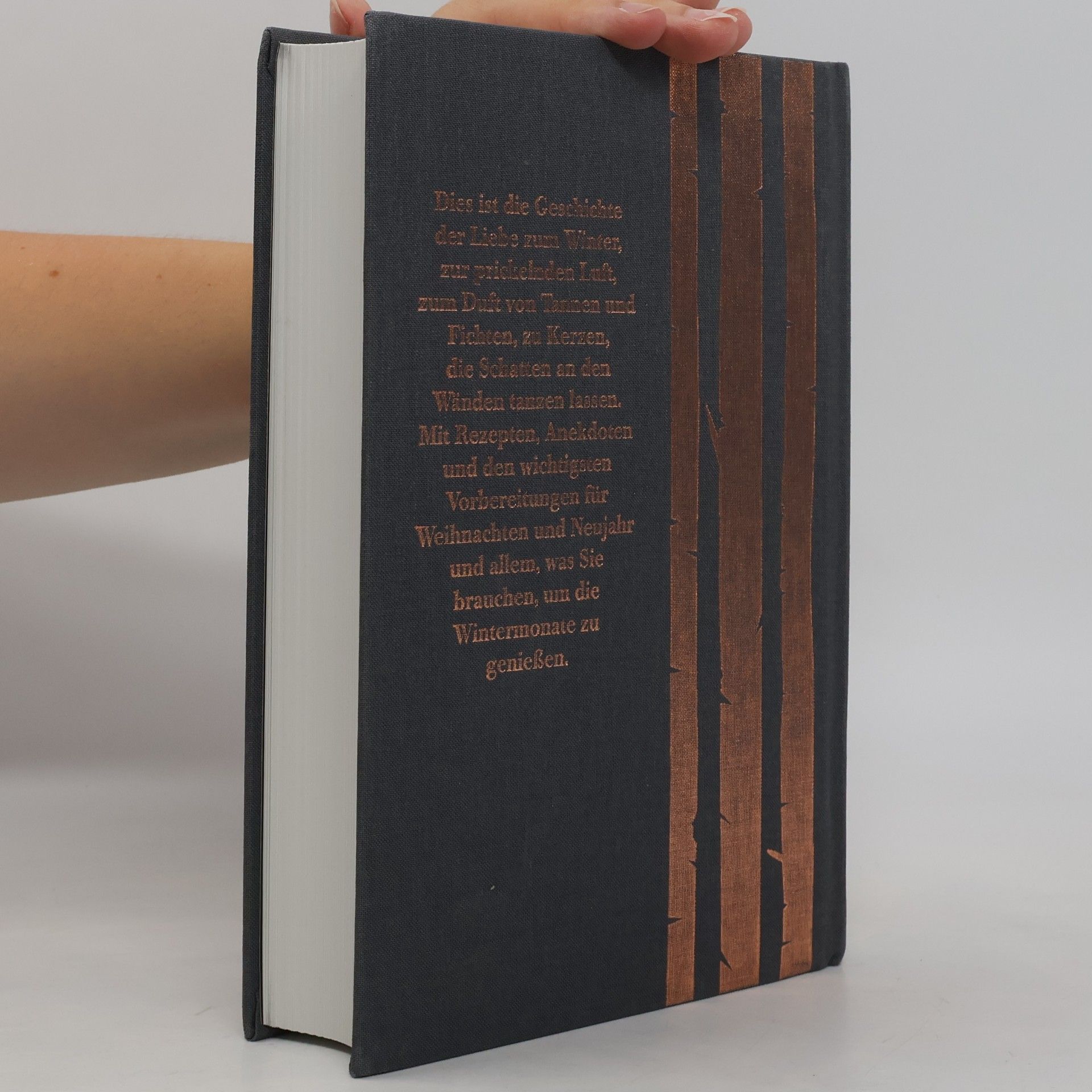 Nigel Slater Das Wintertagebuch