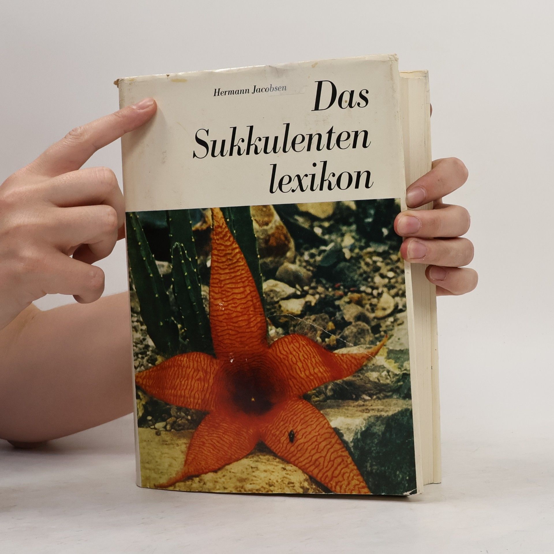 Hermann Jacobsen Das Sukkulenten Lexikon