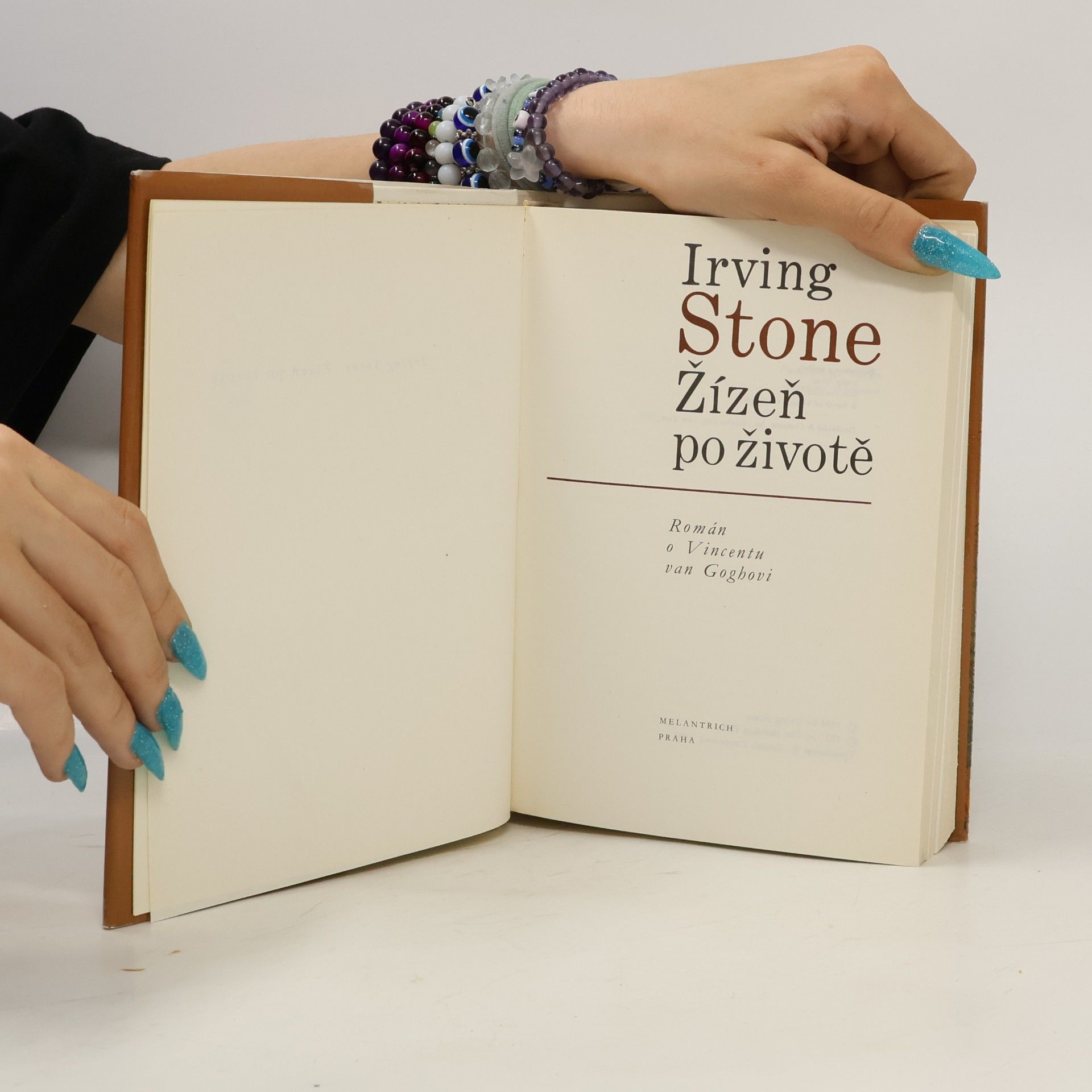 Irving Stone Žízeň po životě