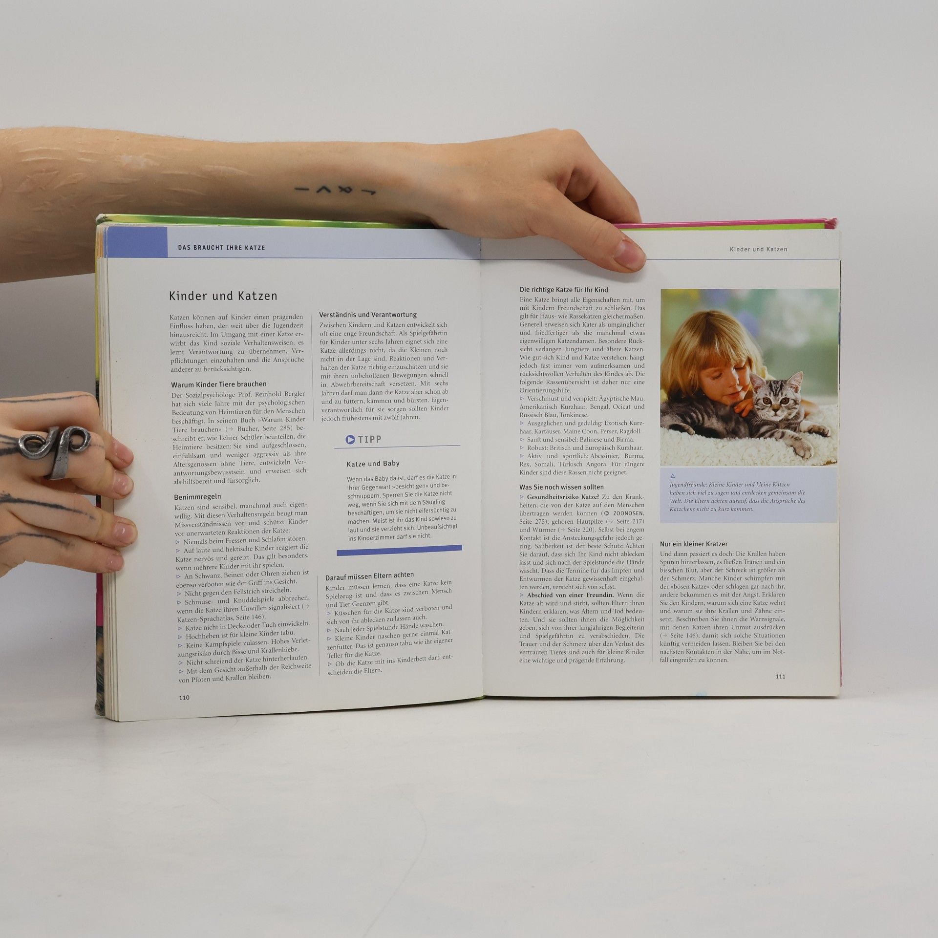 Gerd Ludwig Das große GU-Praxishandbuch Katzen
