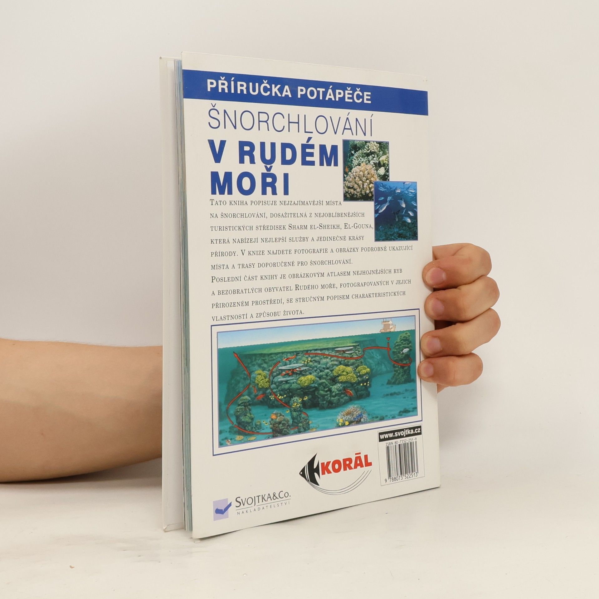 Claudio Cangini Šnorchlování v Rudém moři