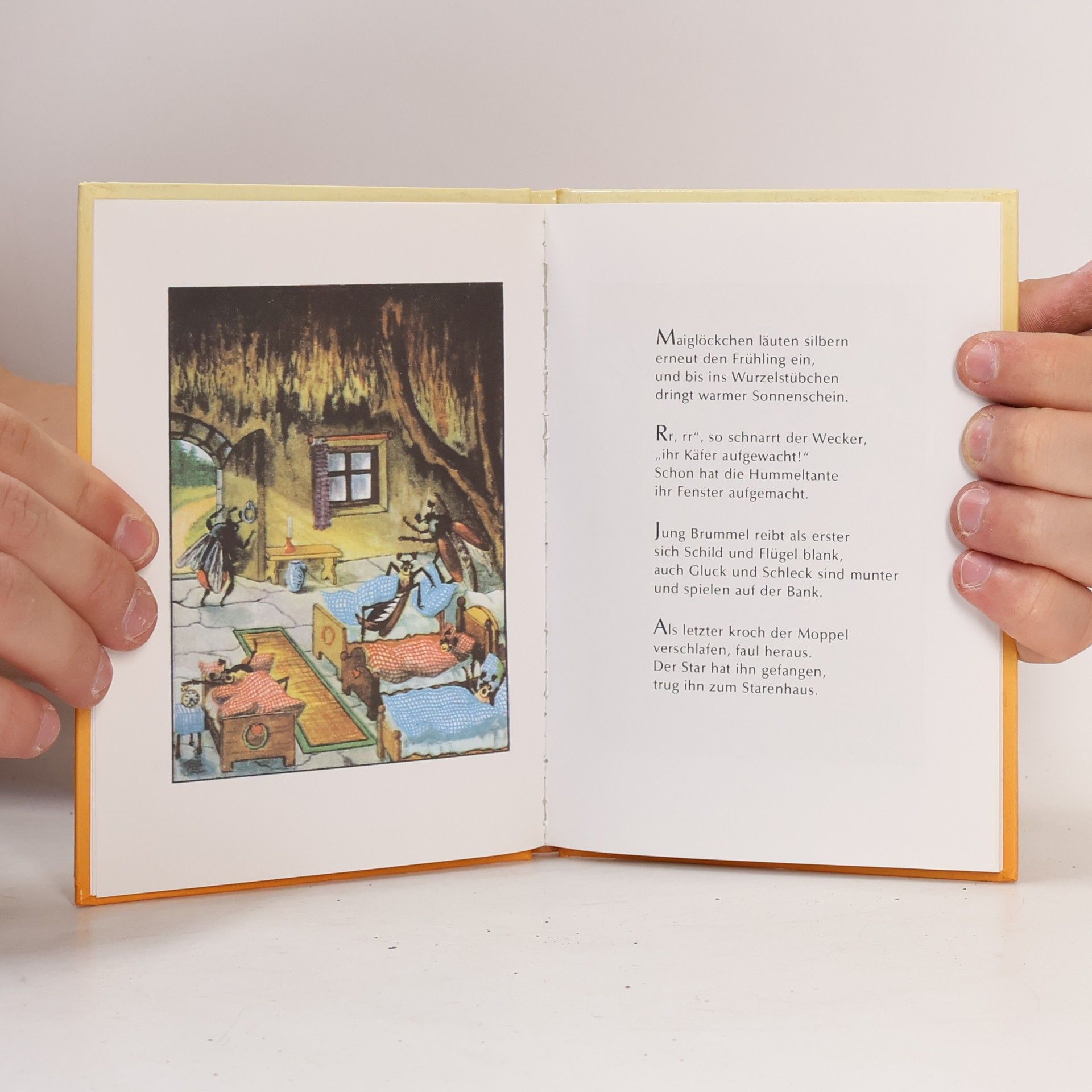 Autores varios Maikäfer, flieg!