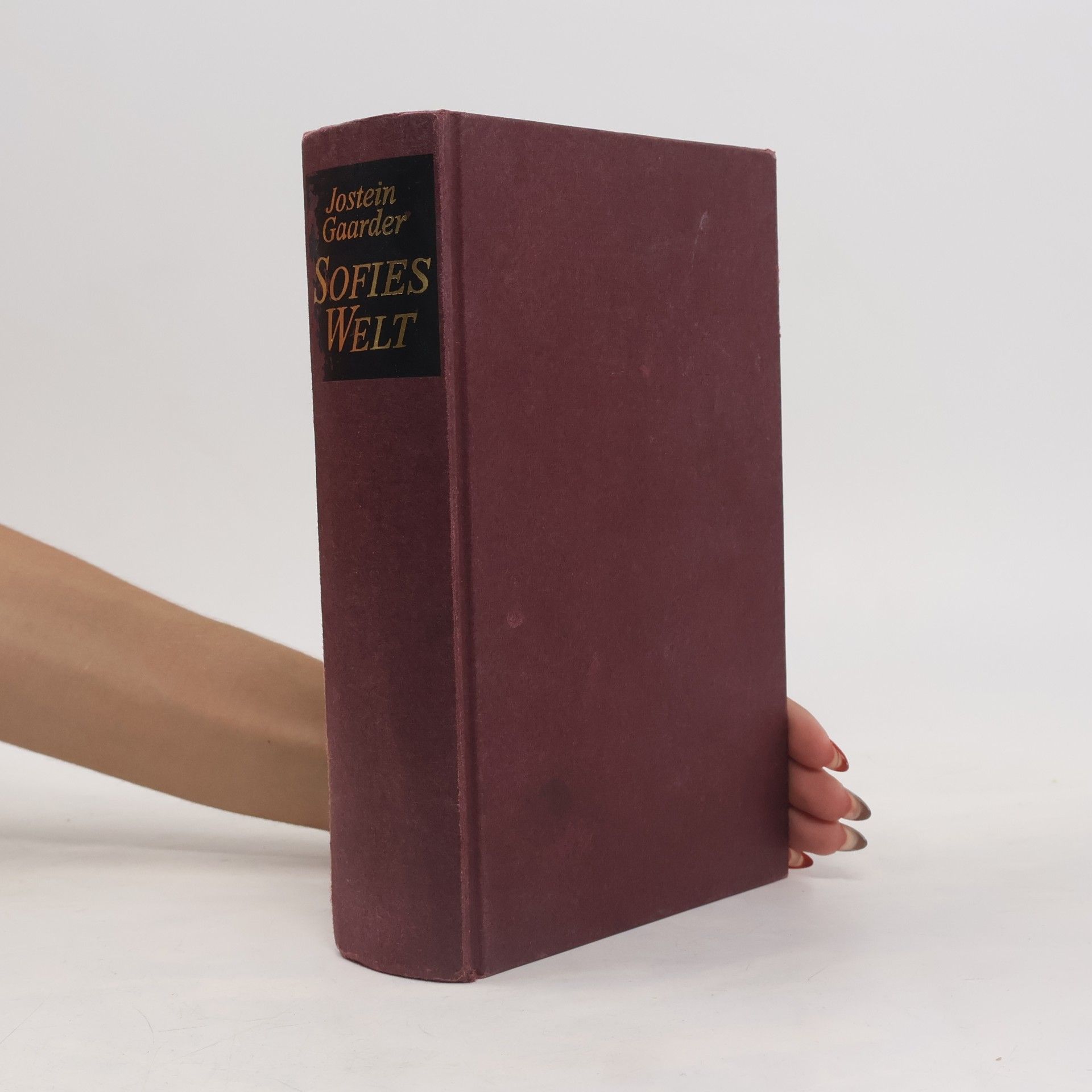 Jostein Gaarder Sofies Welt