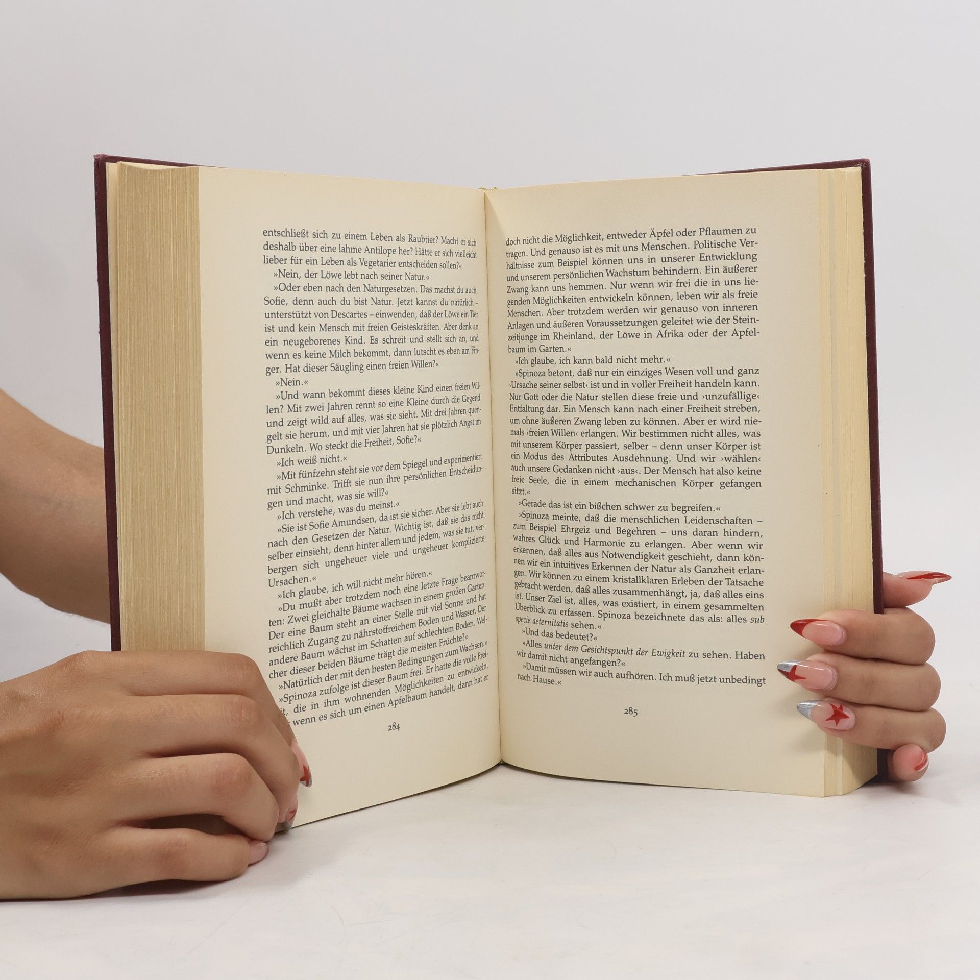 Jostein Gaarder Sofies Welt