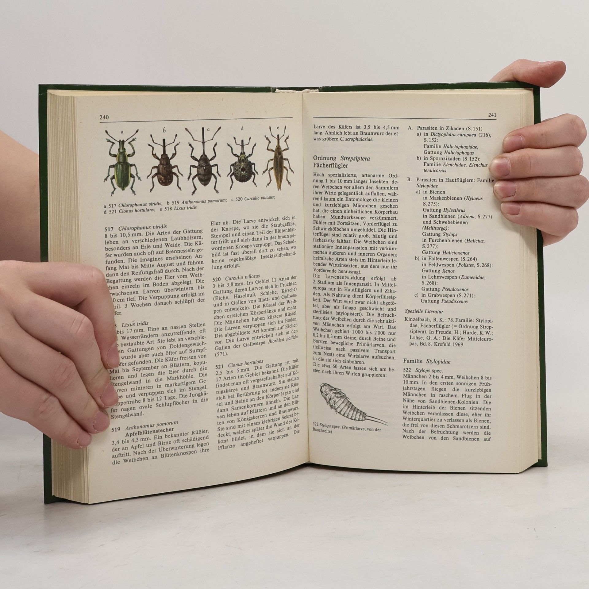 Ulrich Sedlag Insekten Mitteleuropas. Beobachten und Bestimmen.