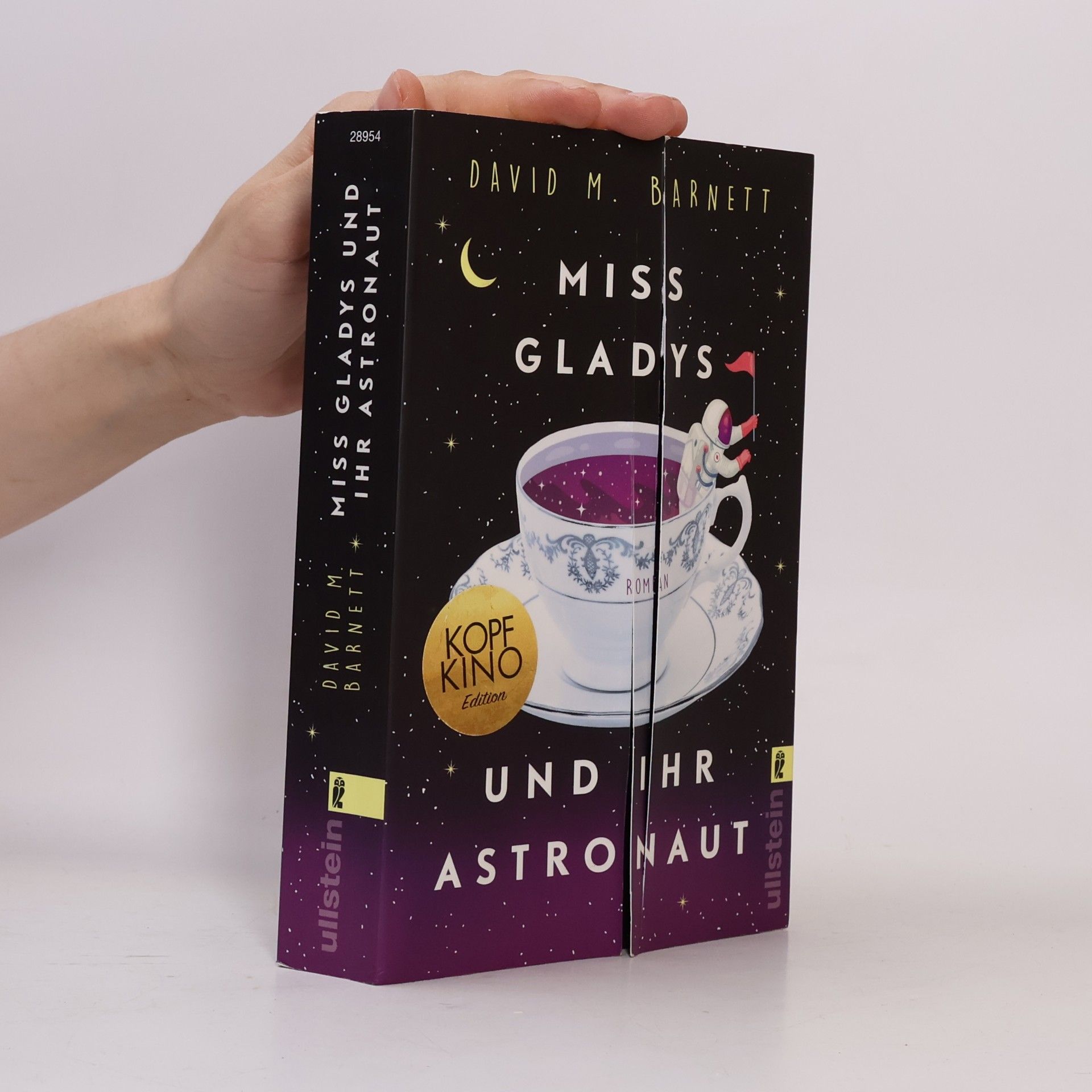 David M. Barnett Miss Gladys und ihr Astronaut