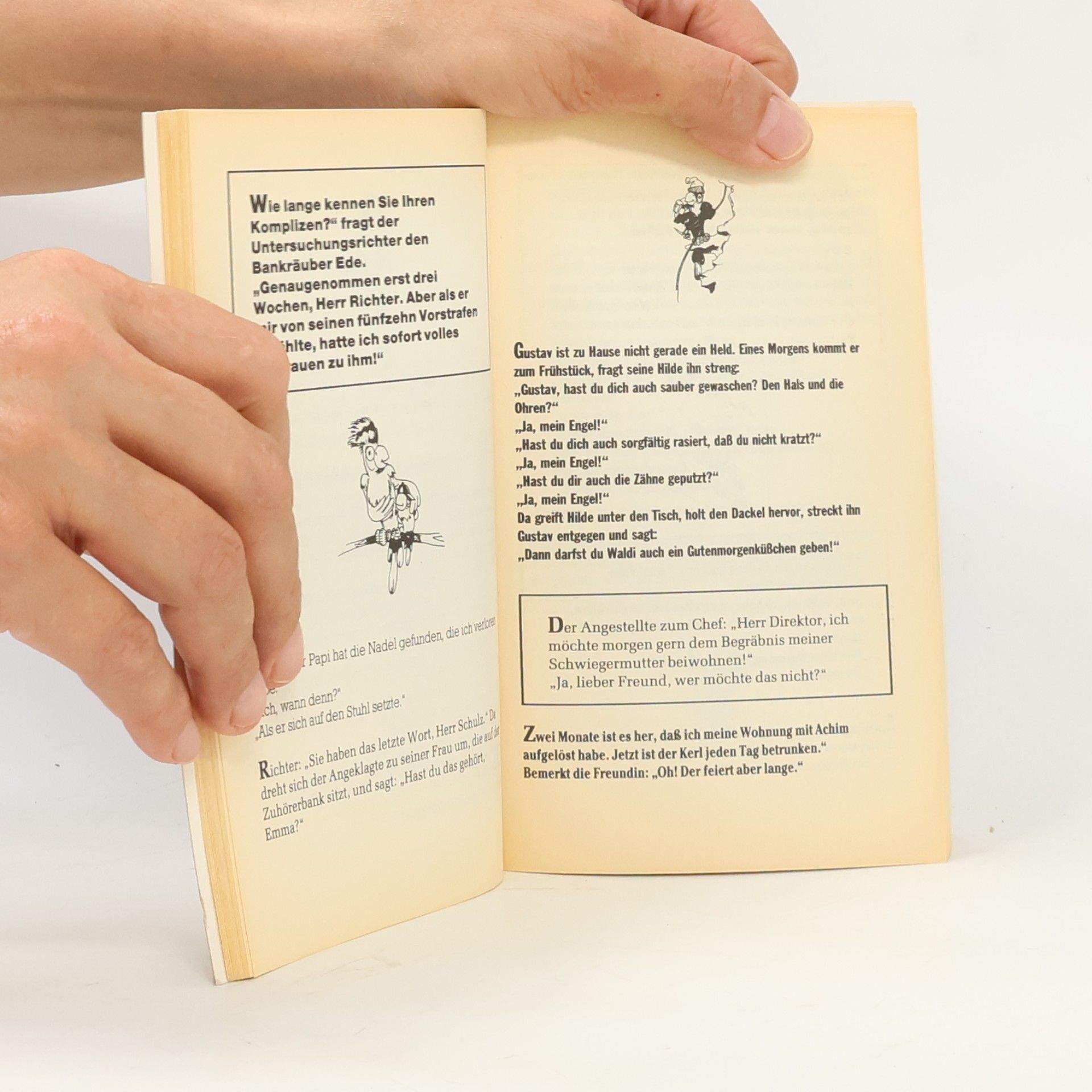 Autorenkollektiv Witzige Boshaftigkeiten