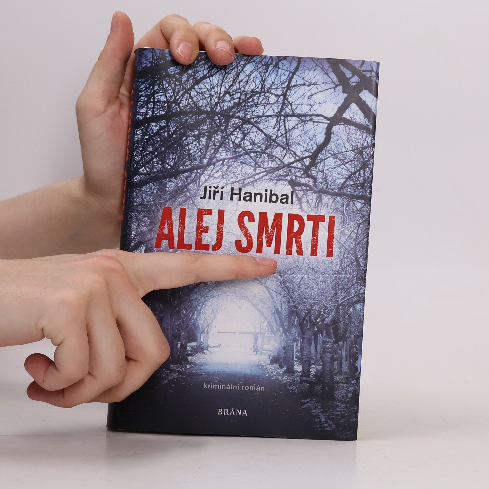 Jirí Hanibal Alej smrti
