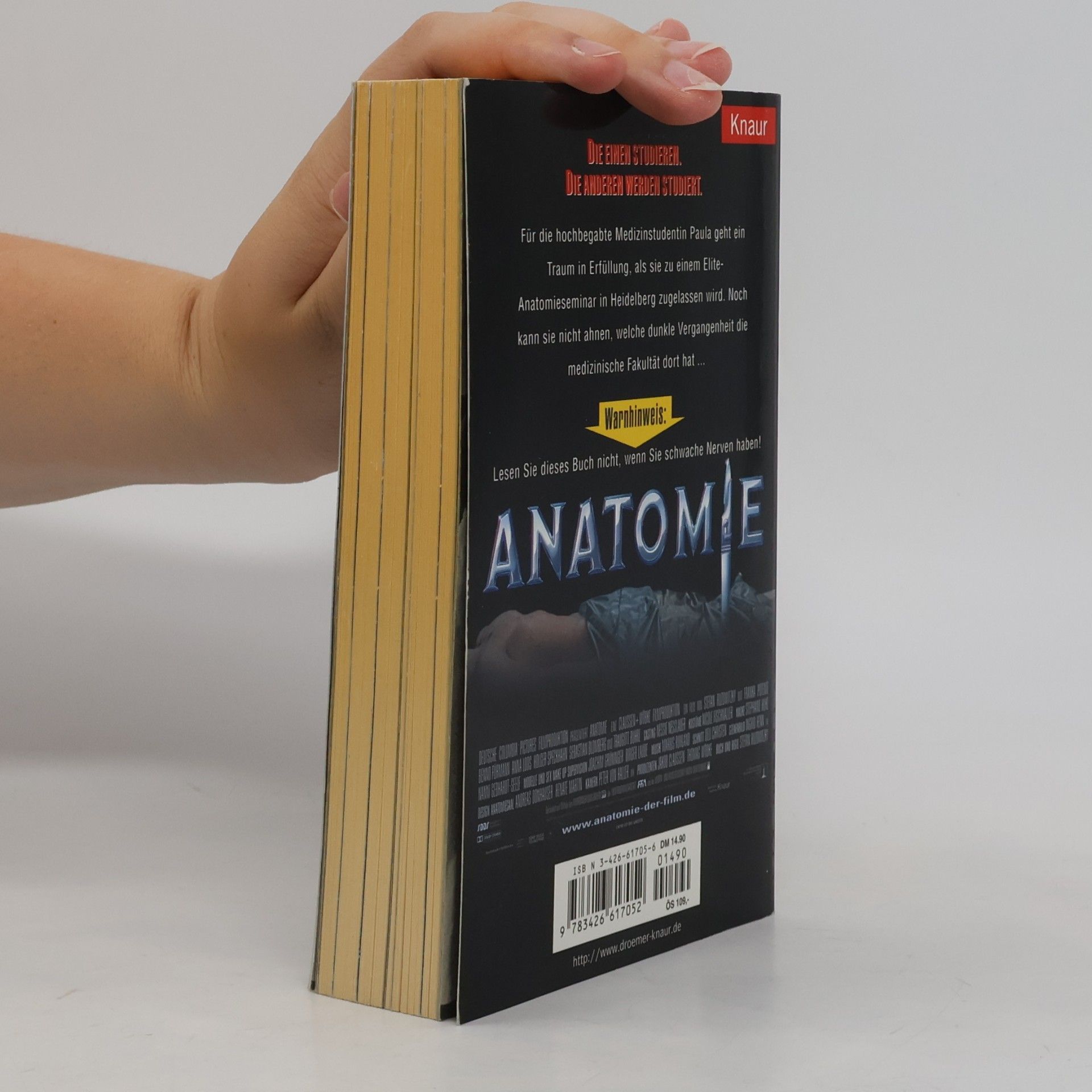 Ulrich Hoffmann Anatomie