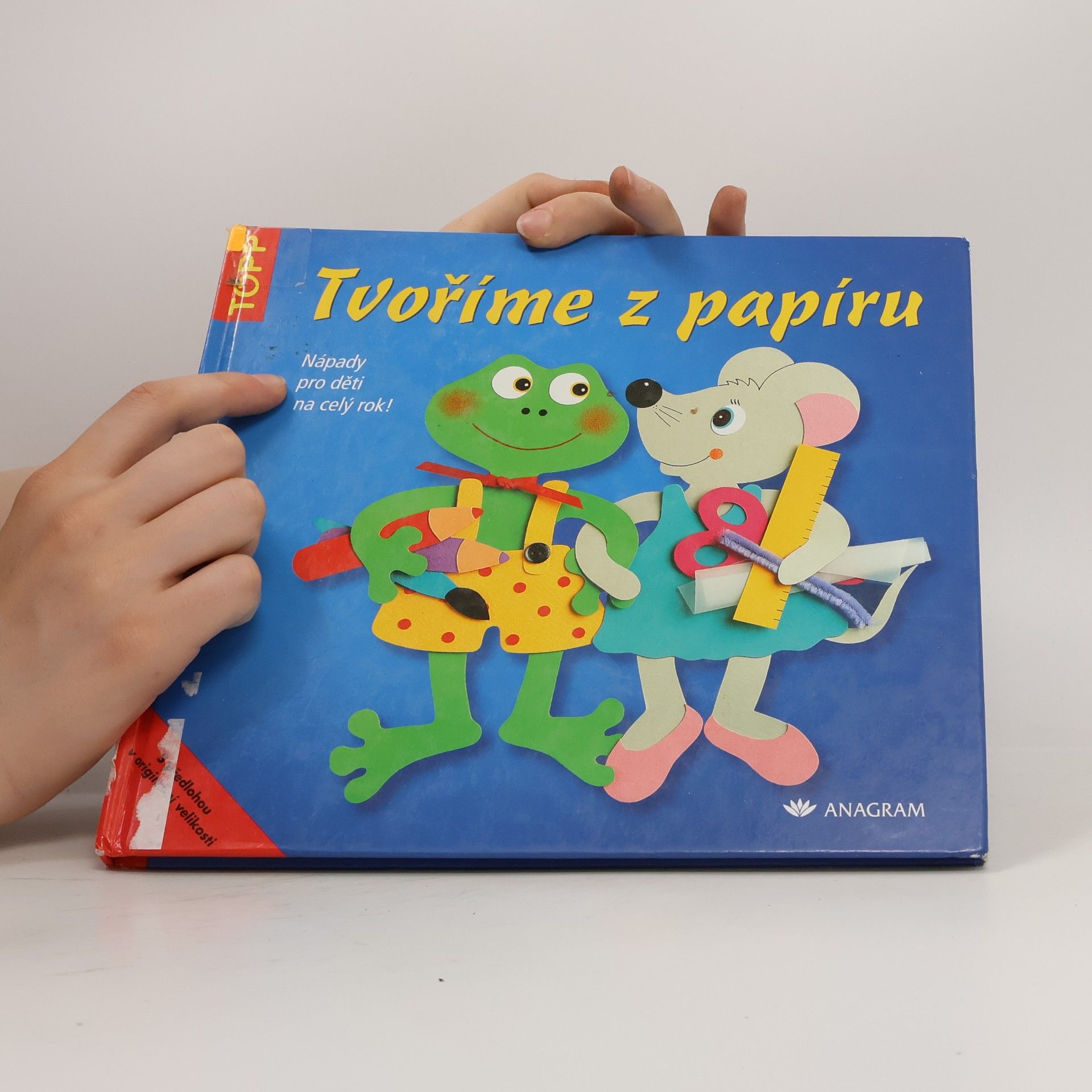 Pia Pedevilla Tvoříme z papíru. Nápady pro děti na celý rok