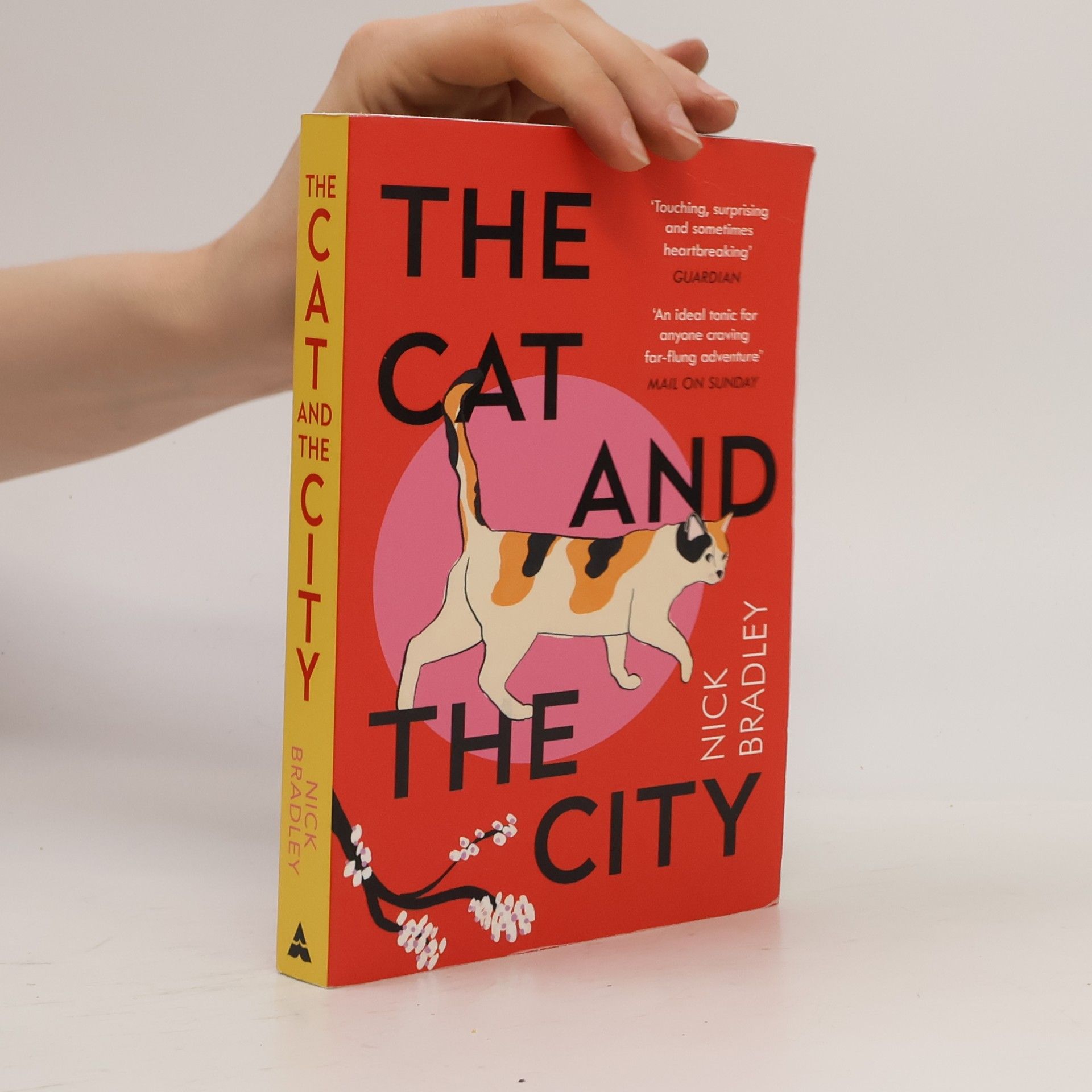 Nick Bradley The Cat and the City