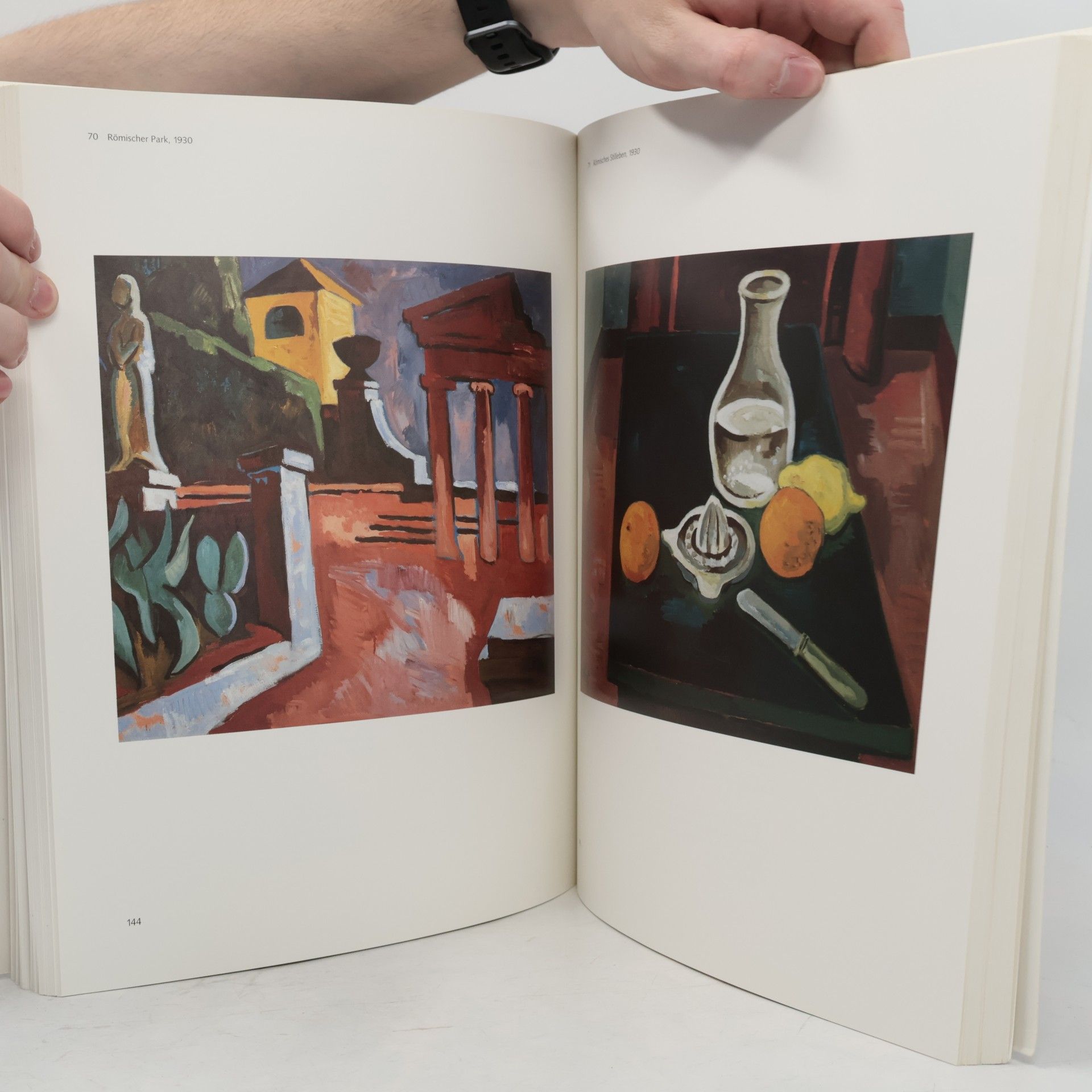 Kolektiv autorů Karl Schmidt-Rottluff: Der Maler