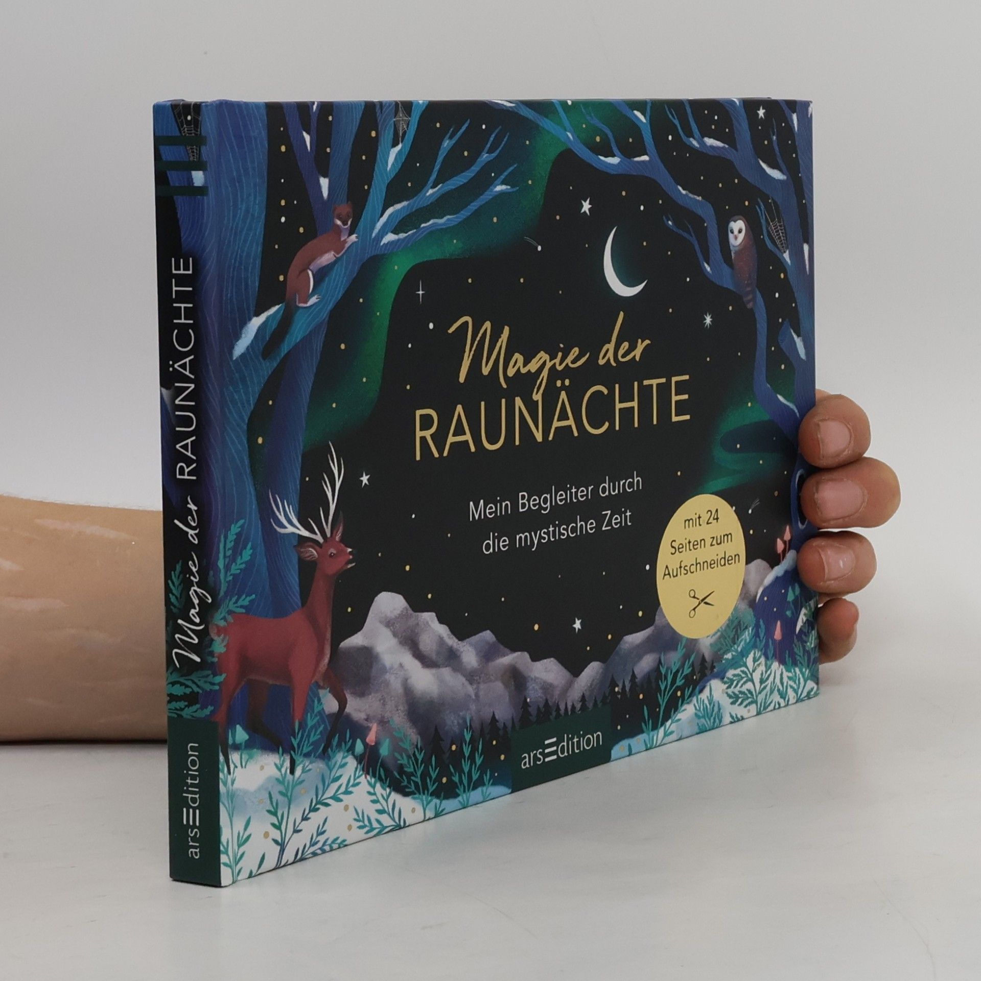 Petra Braun Magie der Raunächte. Mein Begleiter durch die mystische Zeit